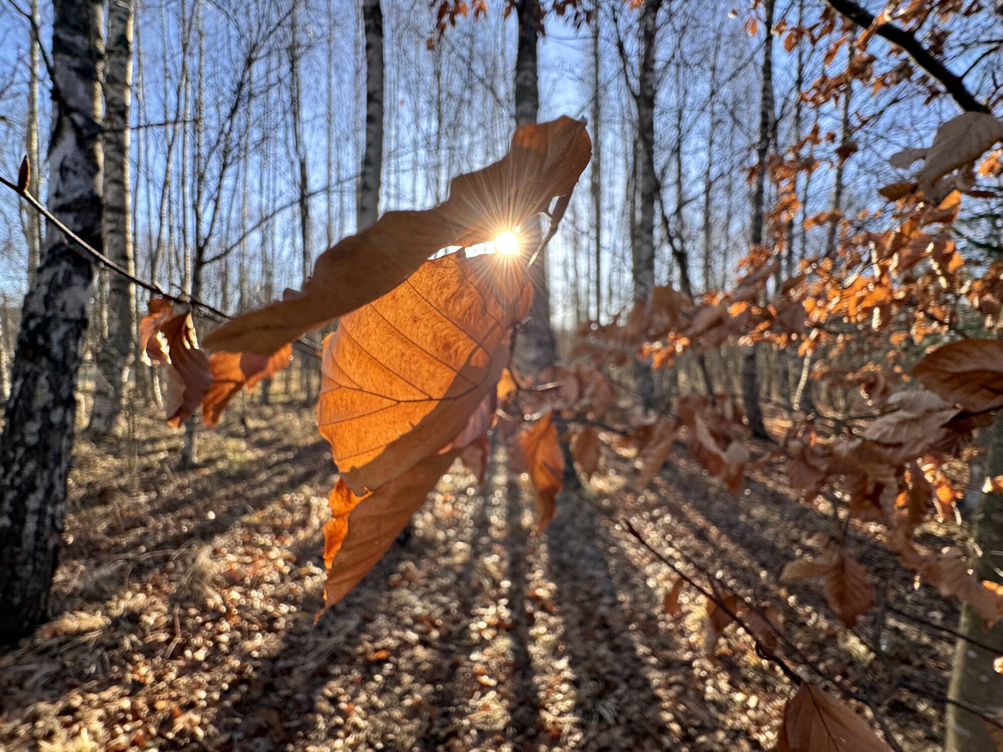 Valokuvaaja: Juhani Peltonen