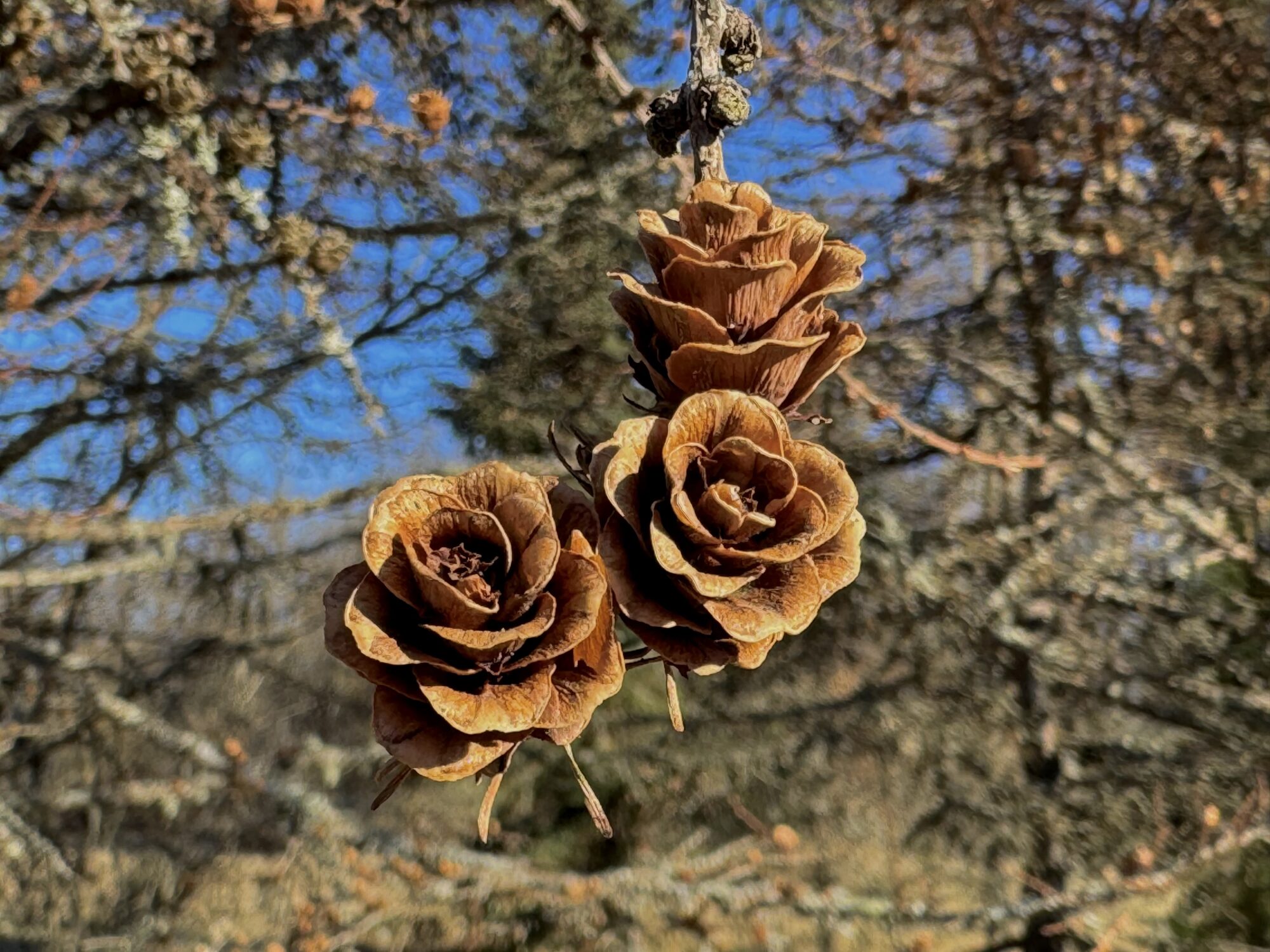 Valokuvaaja: Juhani Peltonen