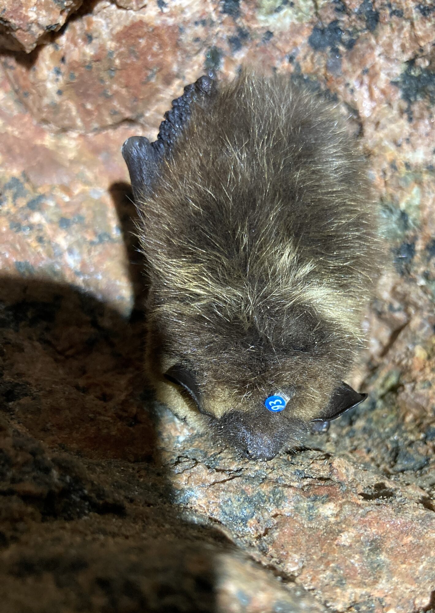 Valokuvaaja: Lasse Kokko