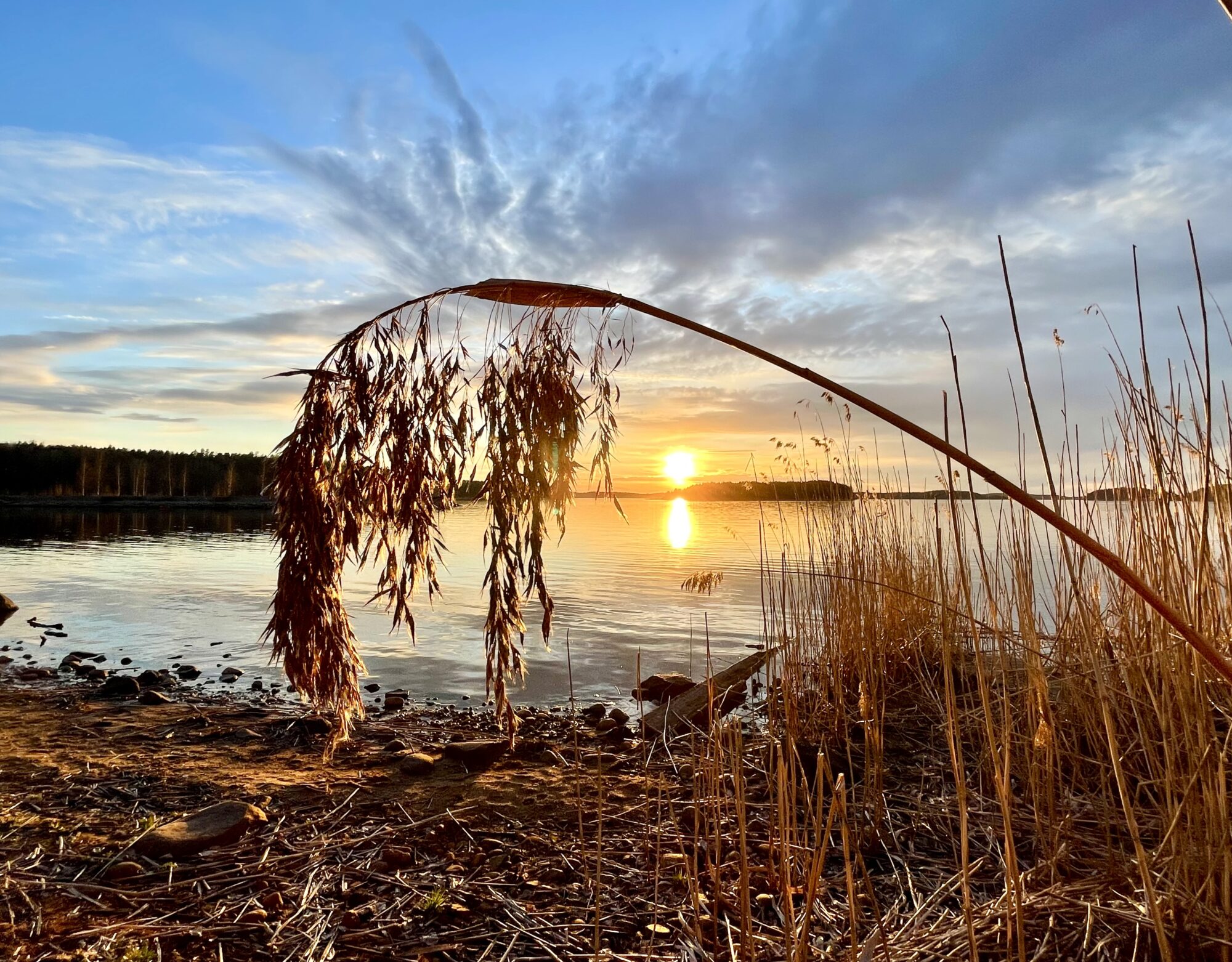Valokuvaaja: Liisa Niiva-Korpela
