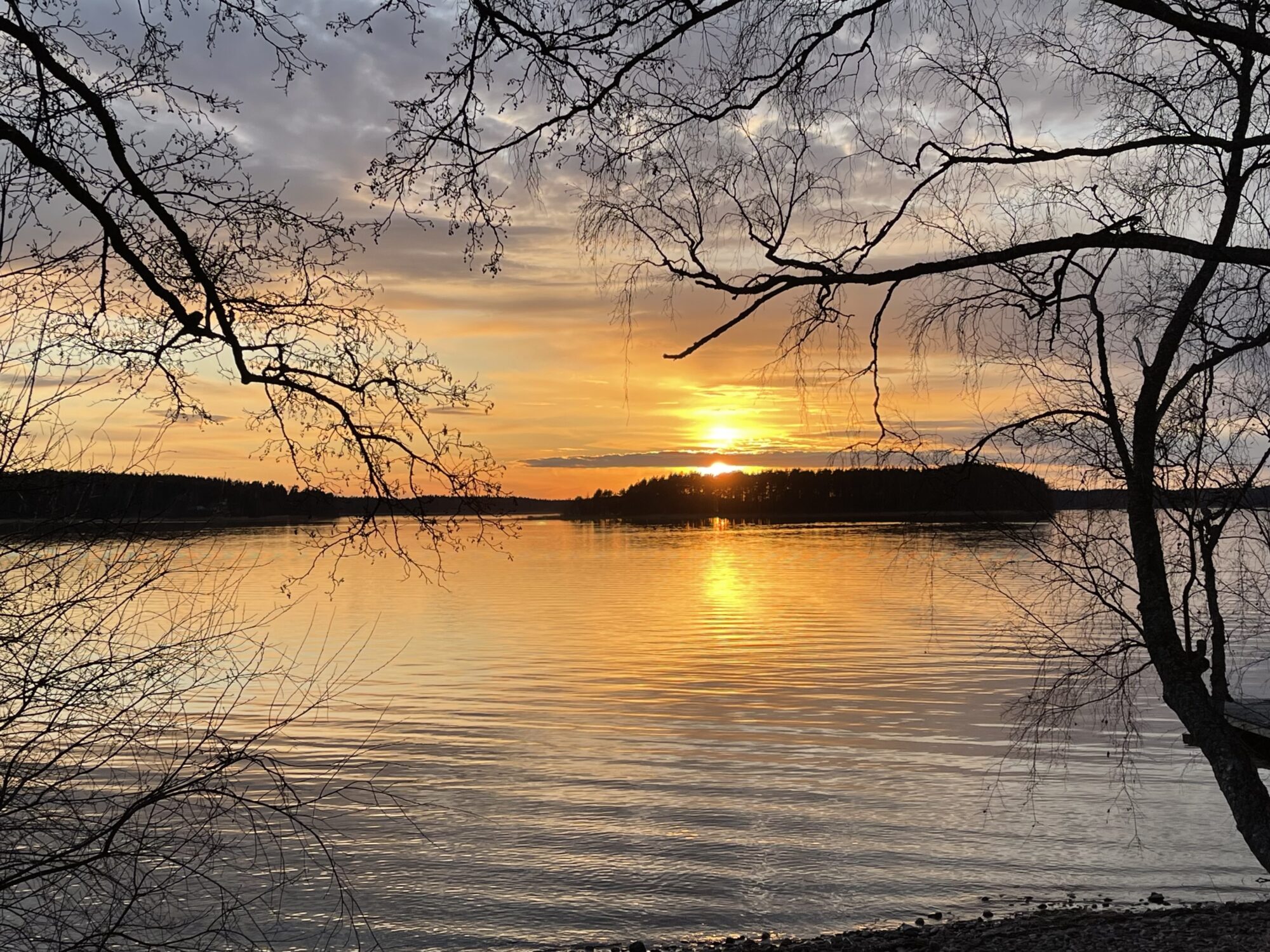 Valokuvaaja: Liisa Niiva-Korpela