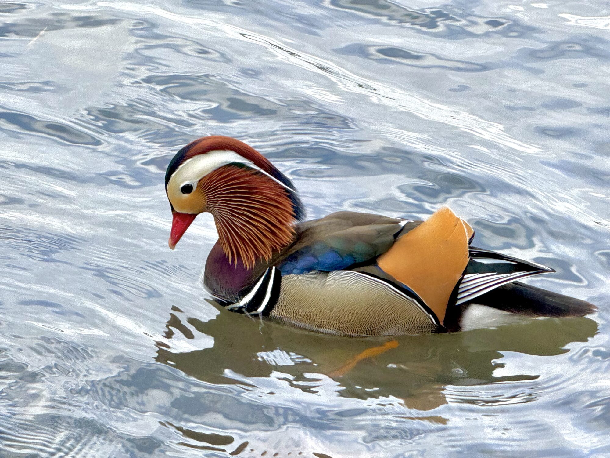 Valokuvaaja: Juhani Peltonen