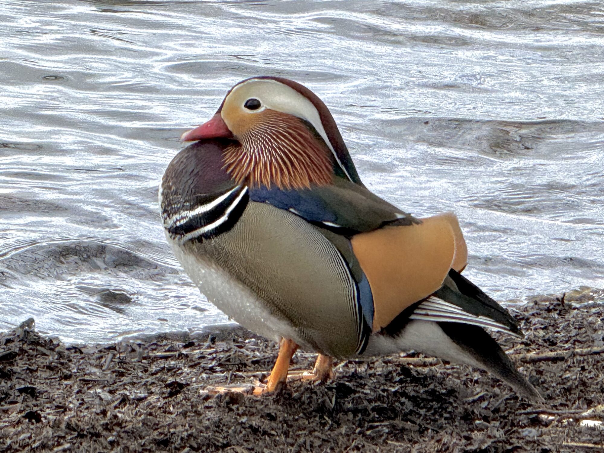 Valokuvaaja: Juhani Peltonen