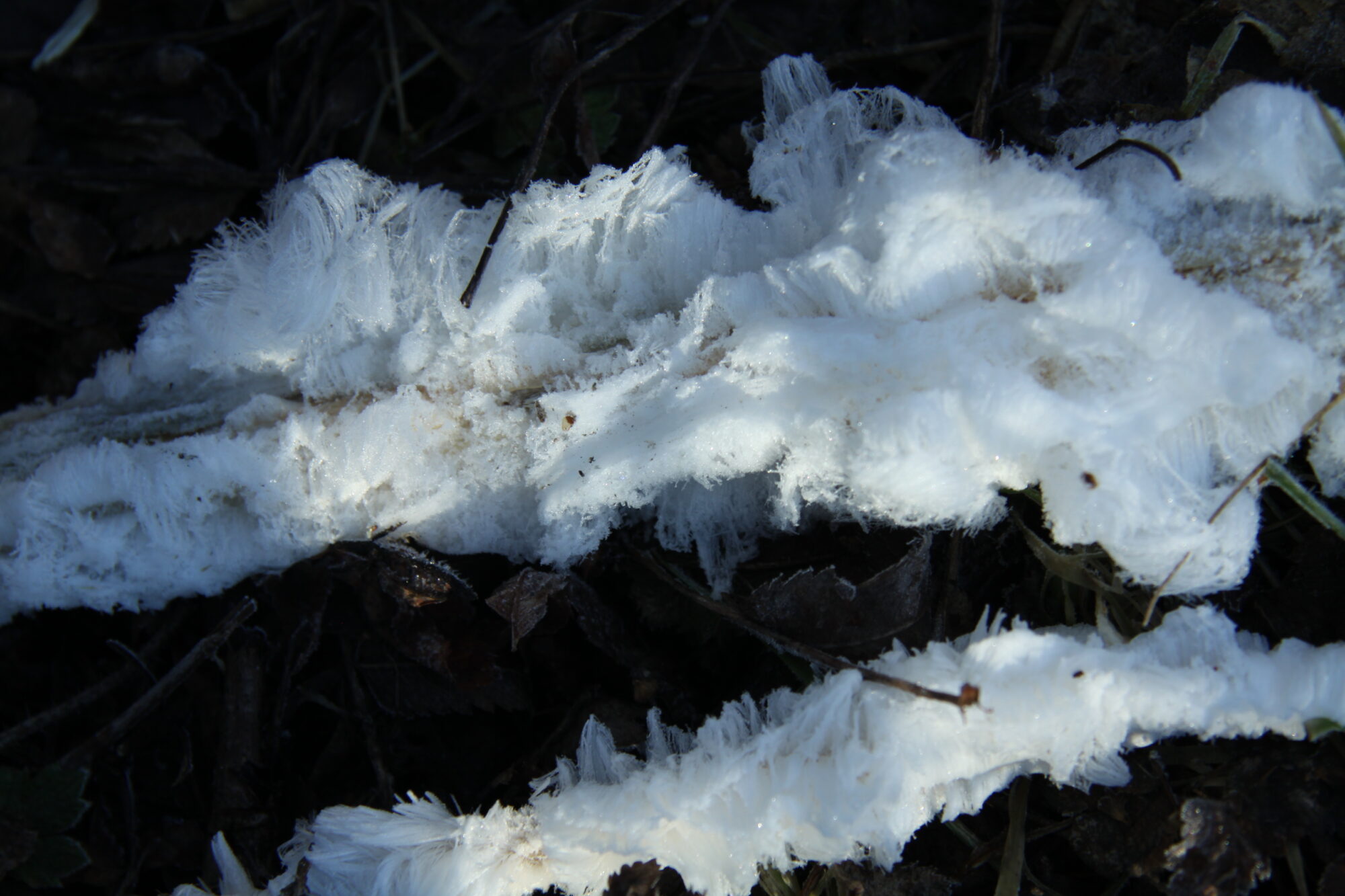 Valokuvaaja: Pirkko Siukonen