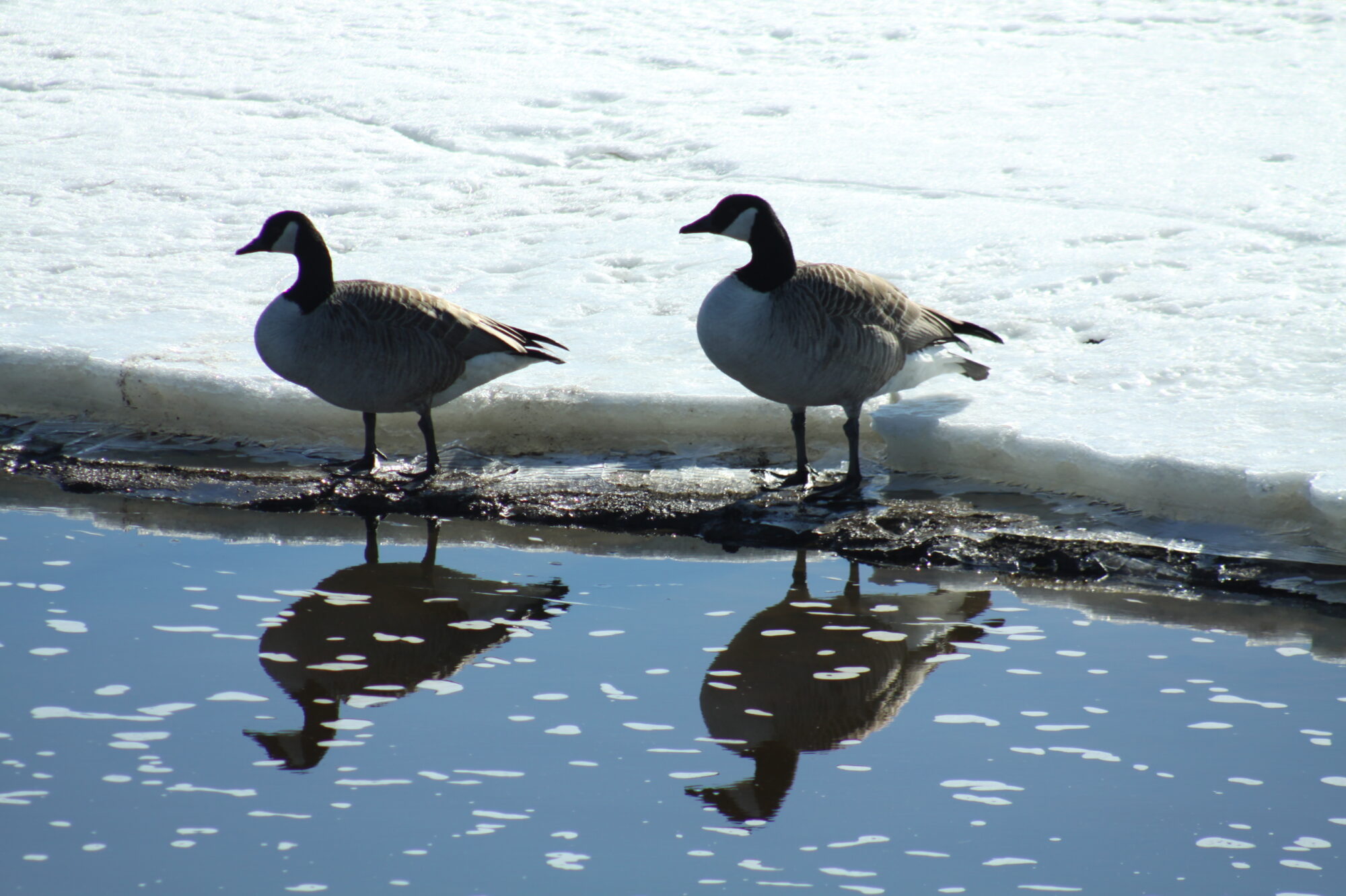 Valokuvaaja: Pirkko Siukonen