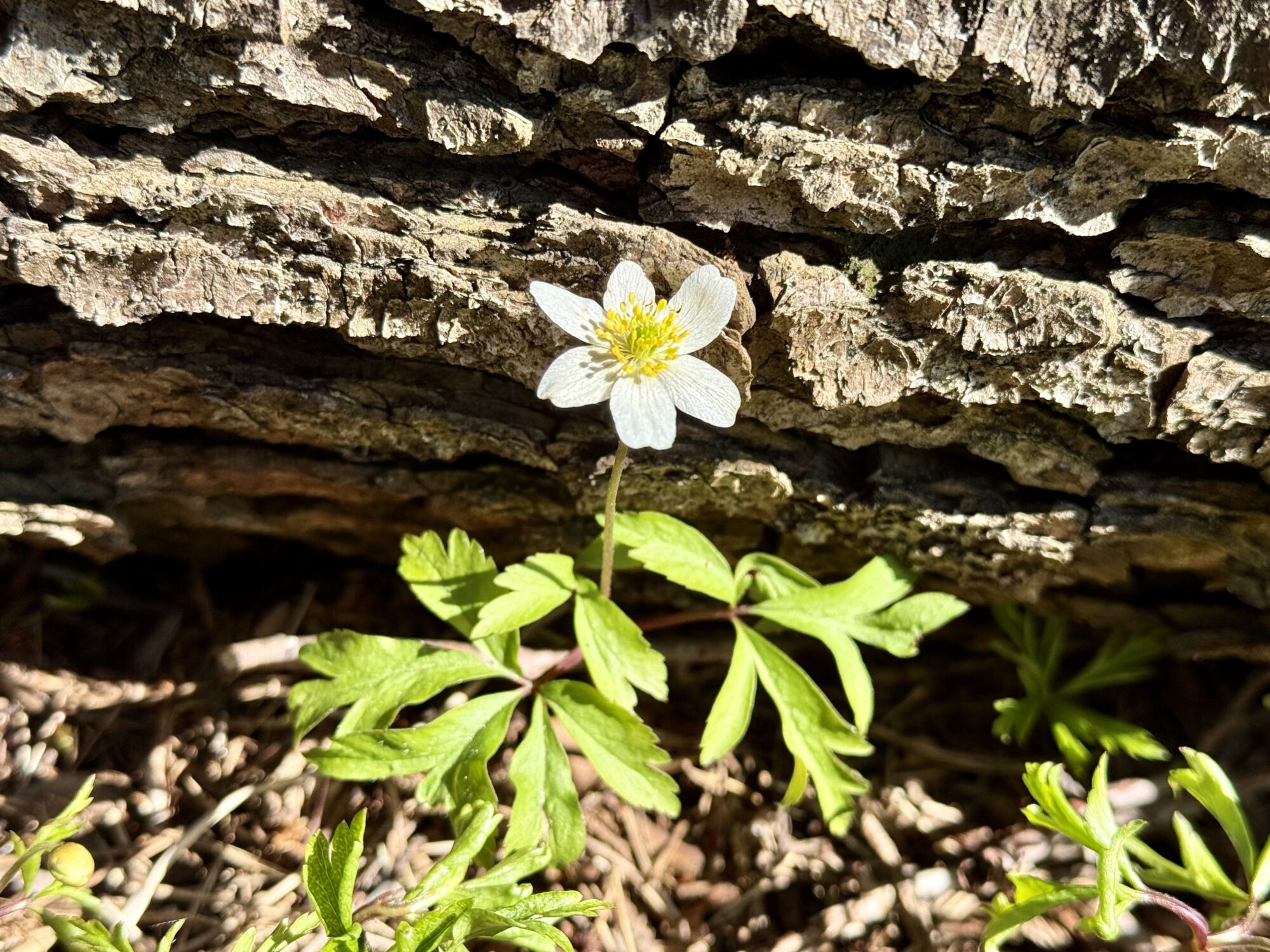 Valokuvaaja: Juhani Peltonen