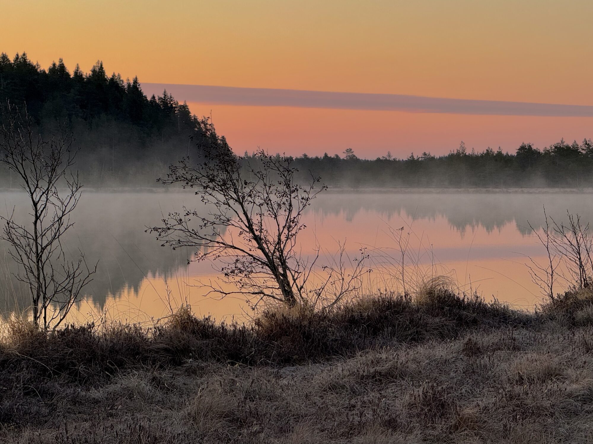 Valokuvaaja: Juhani Peltonen