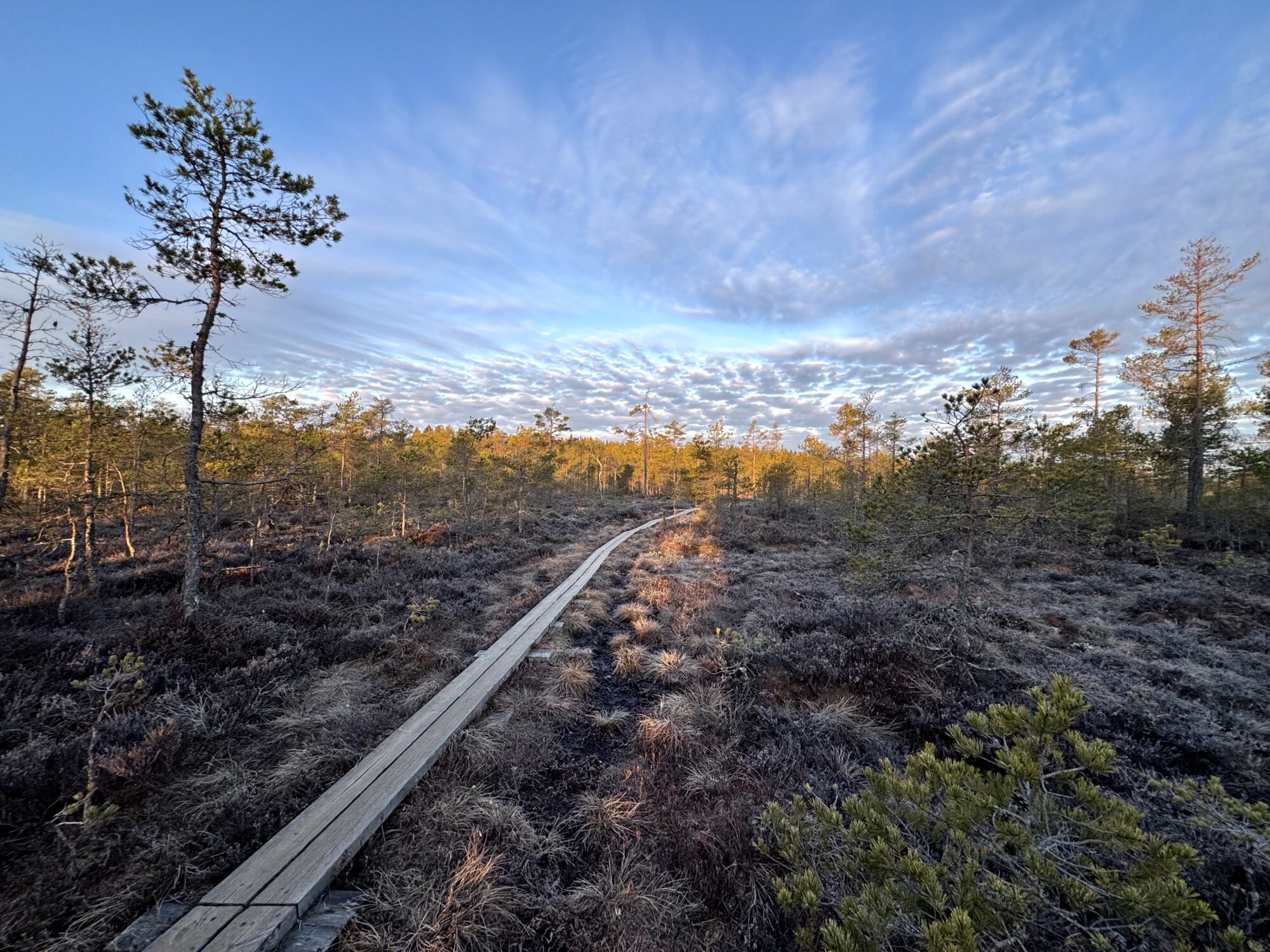 Valokuvaaja: Juhani Peltonen