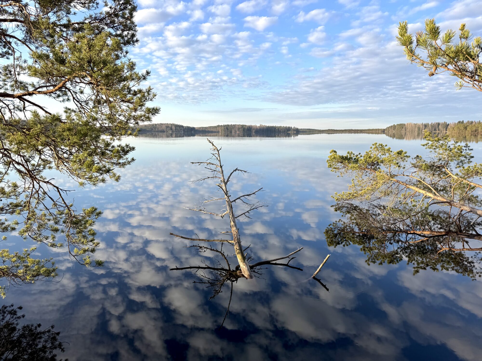 Valokuvaaja: Juhani Peltonen