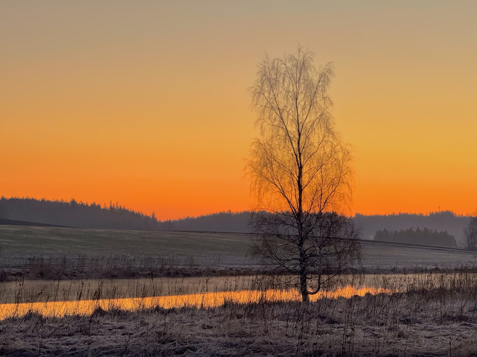 Valokuvaaja: Juhani Peltonen