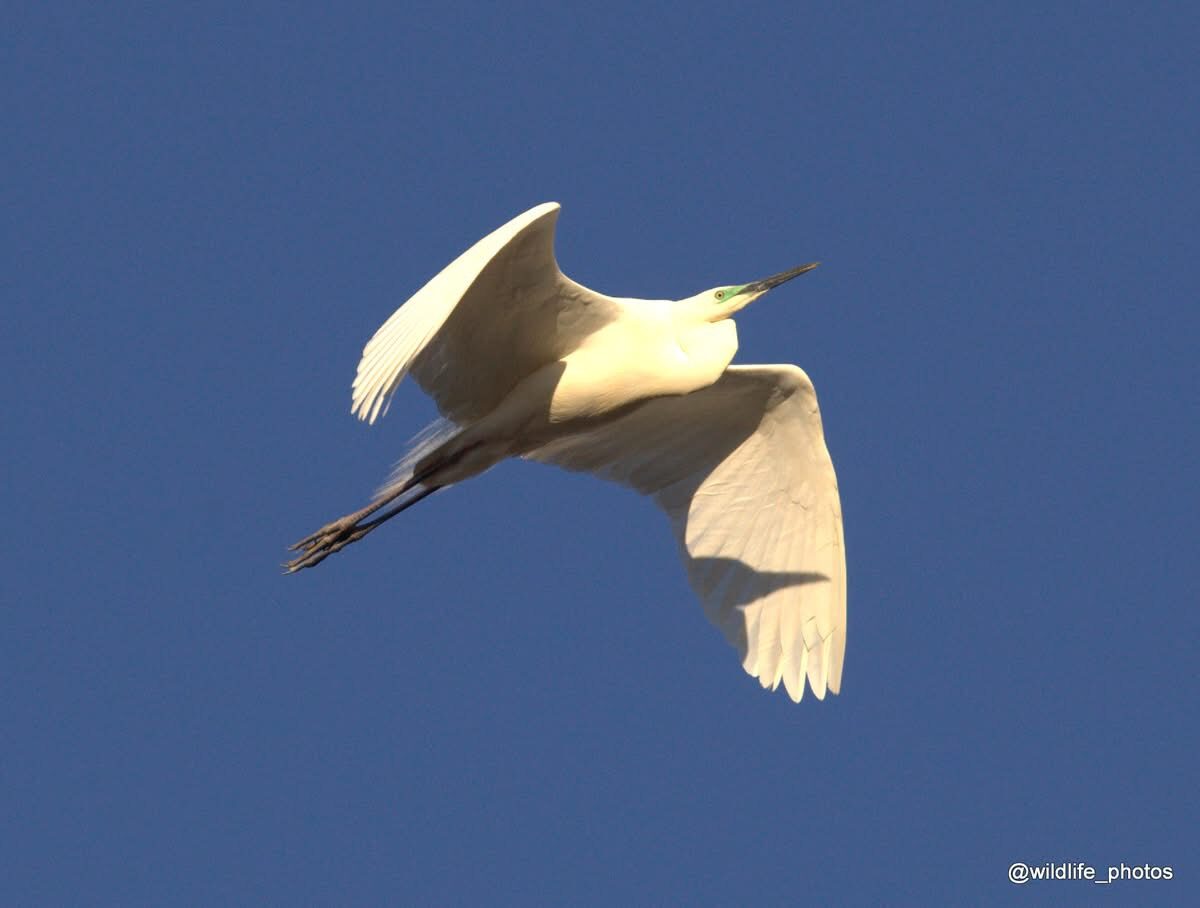 Valokuvaaja: tapio keinonen