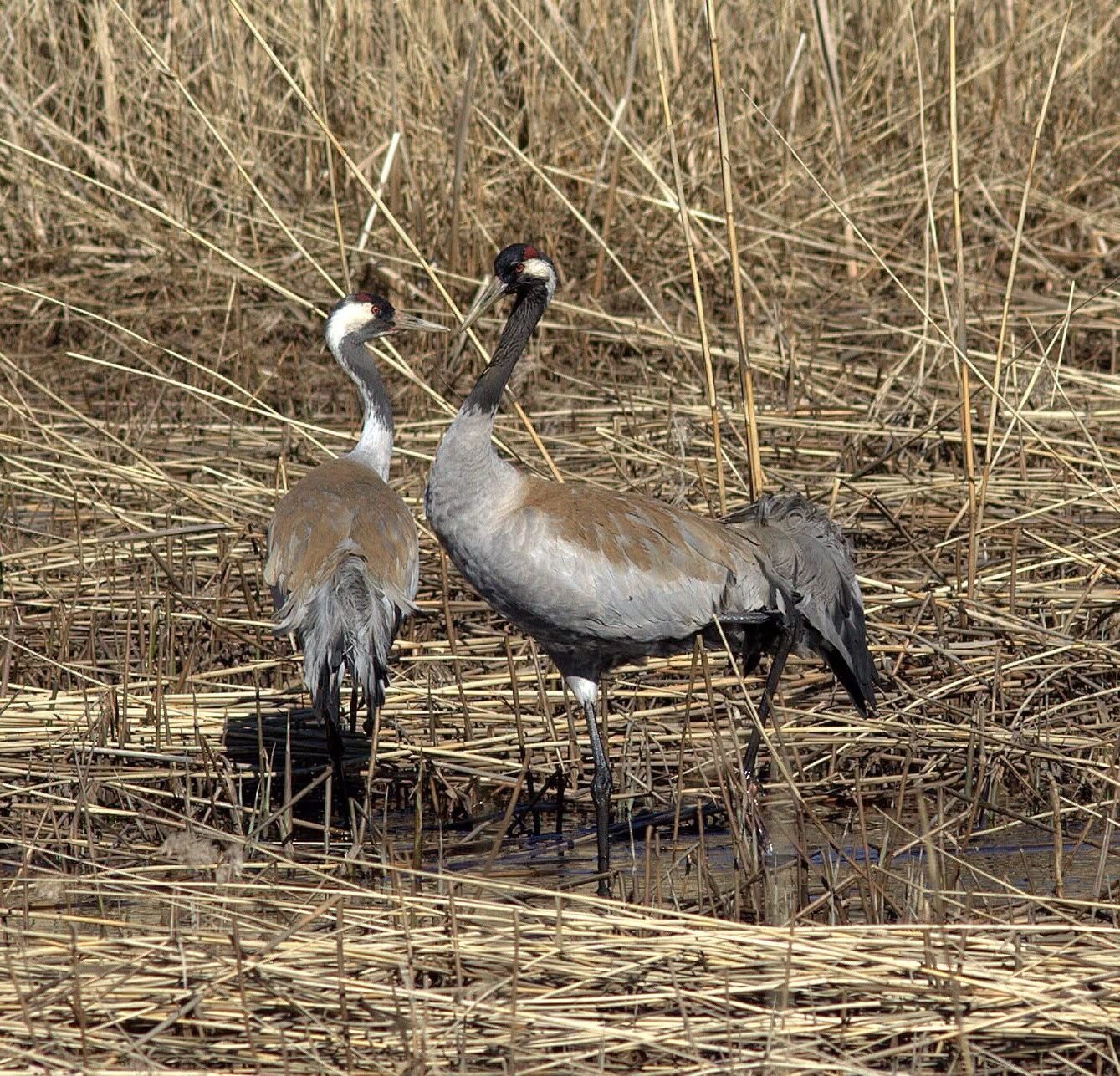 Valokuvaaja: tapio keinonen