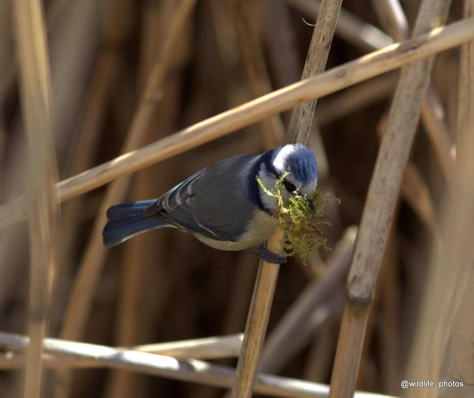 Valokuvaaja: tapio keinonen