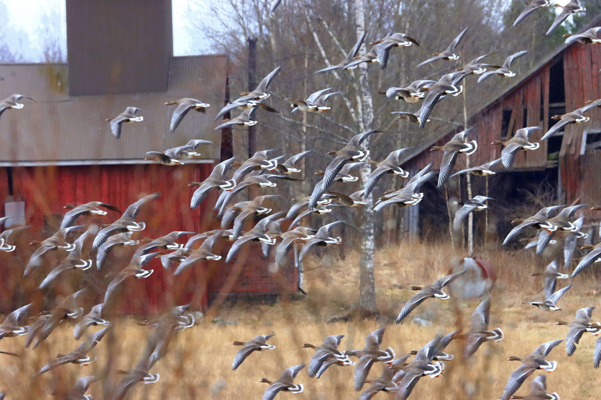 Valokuvaaja: Irja Lehtinen