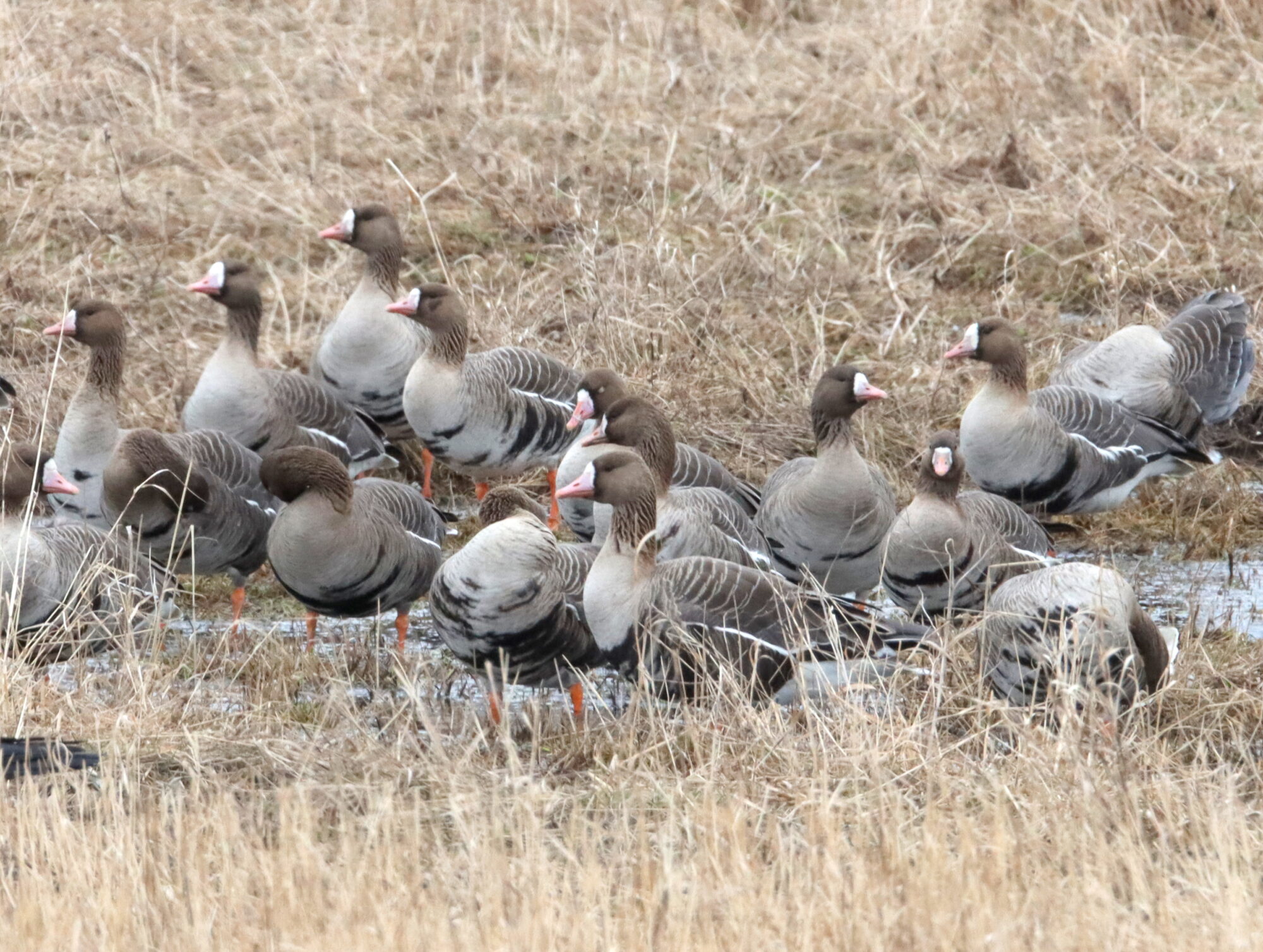 Valokuvaaja: Irja Lehtinen