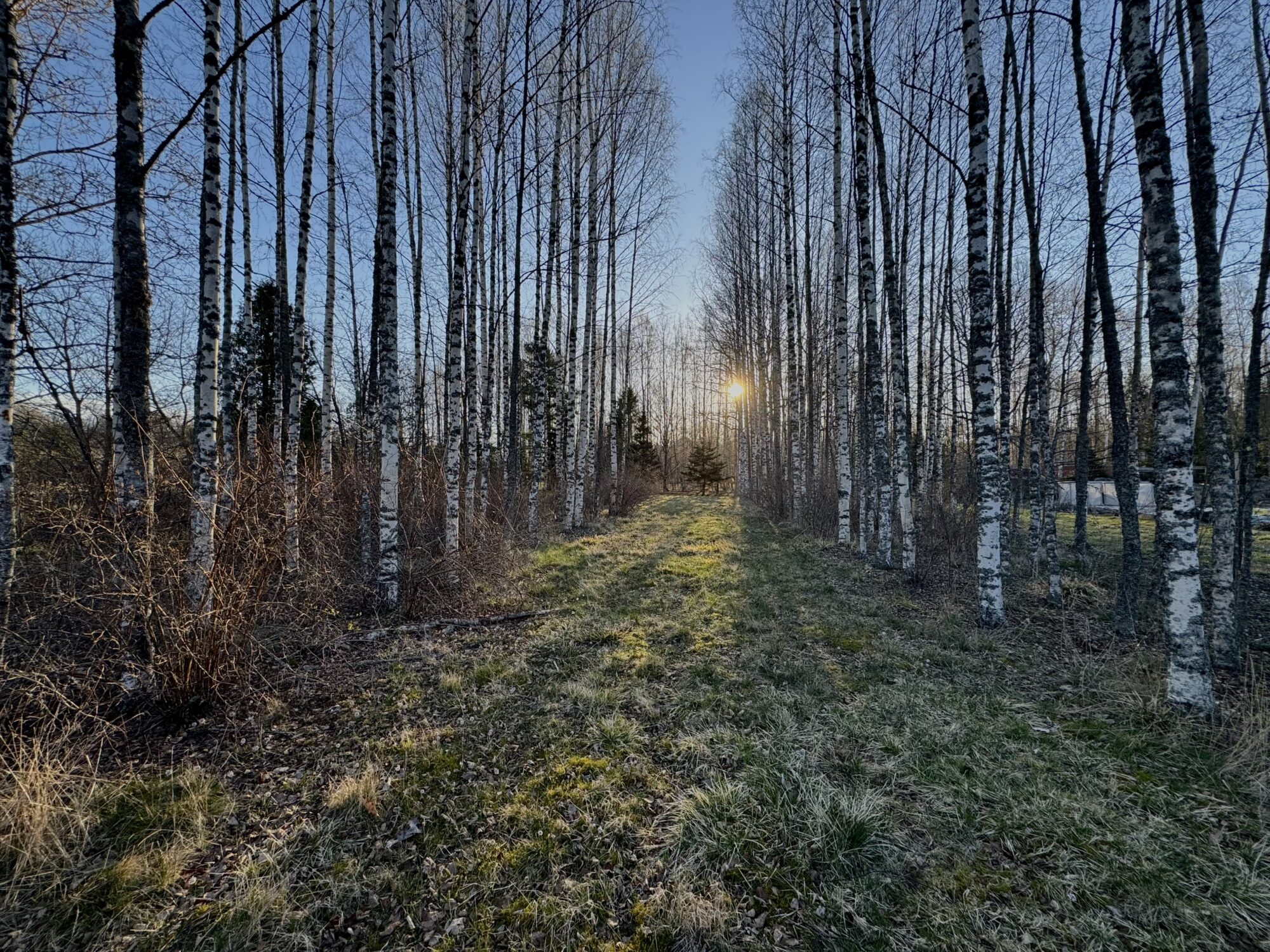 Valokuvaaja: Juhani Peltonen