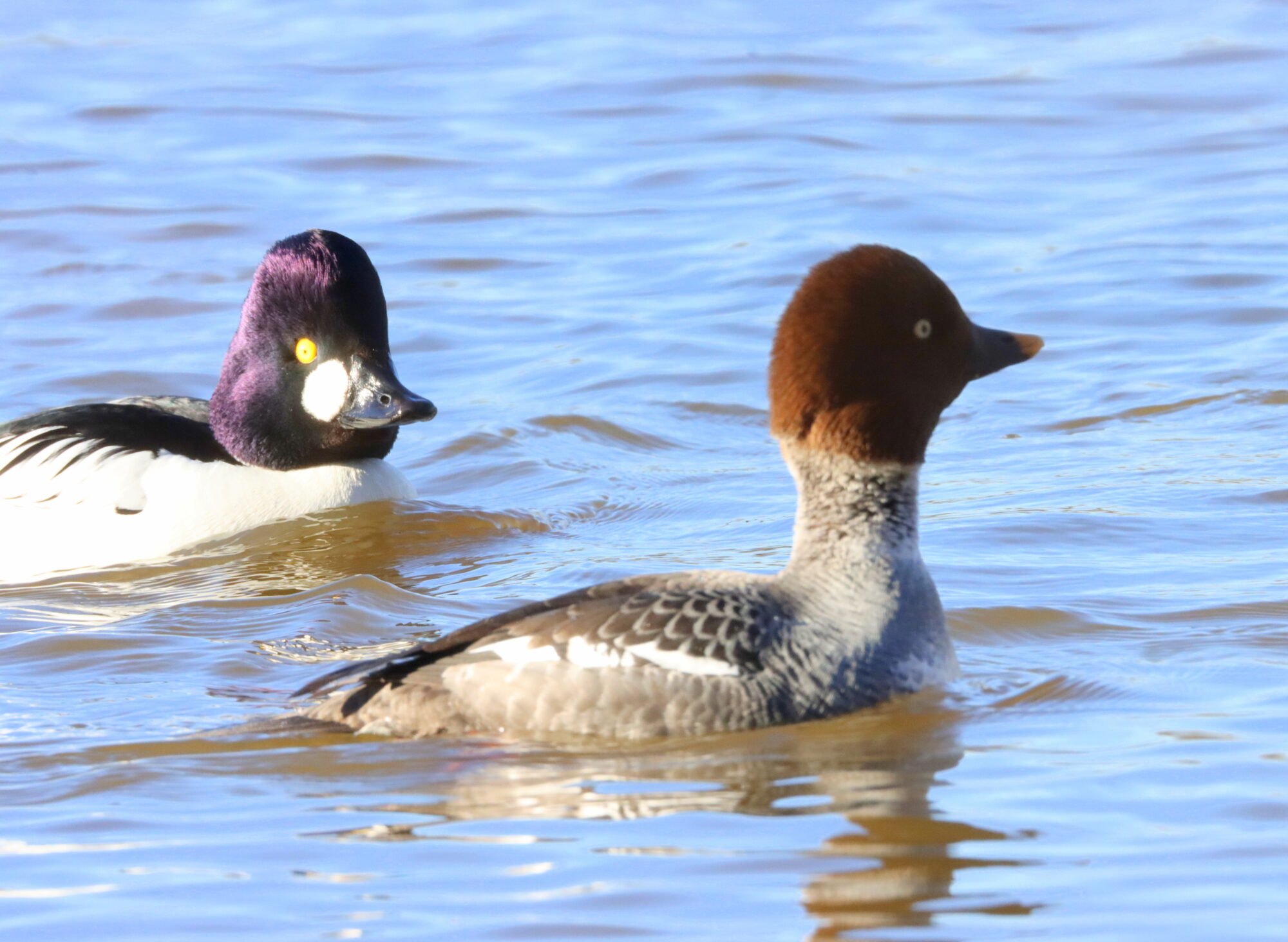 Valokuvaaja: Irja Lehtinen