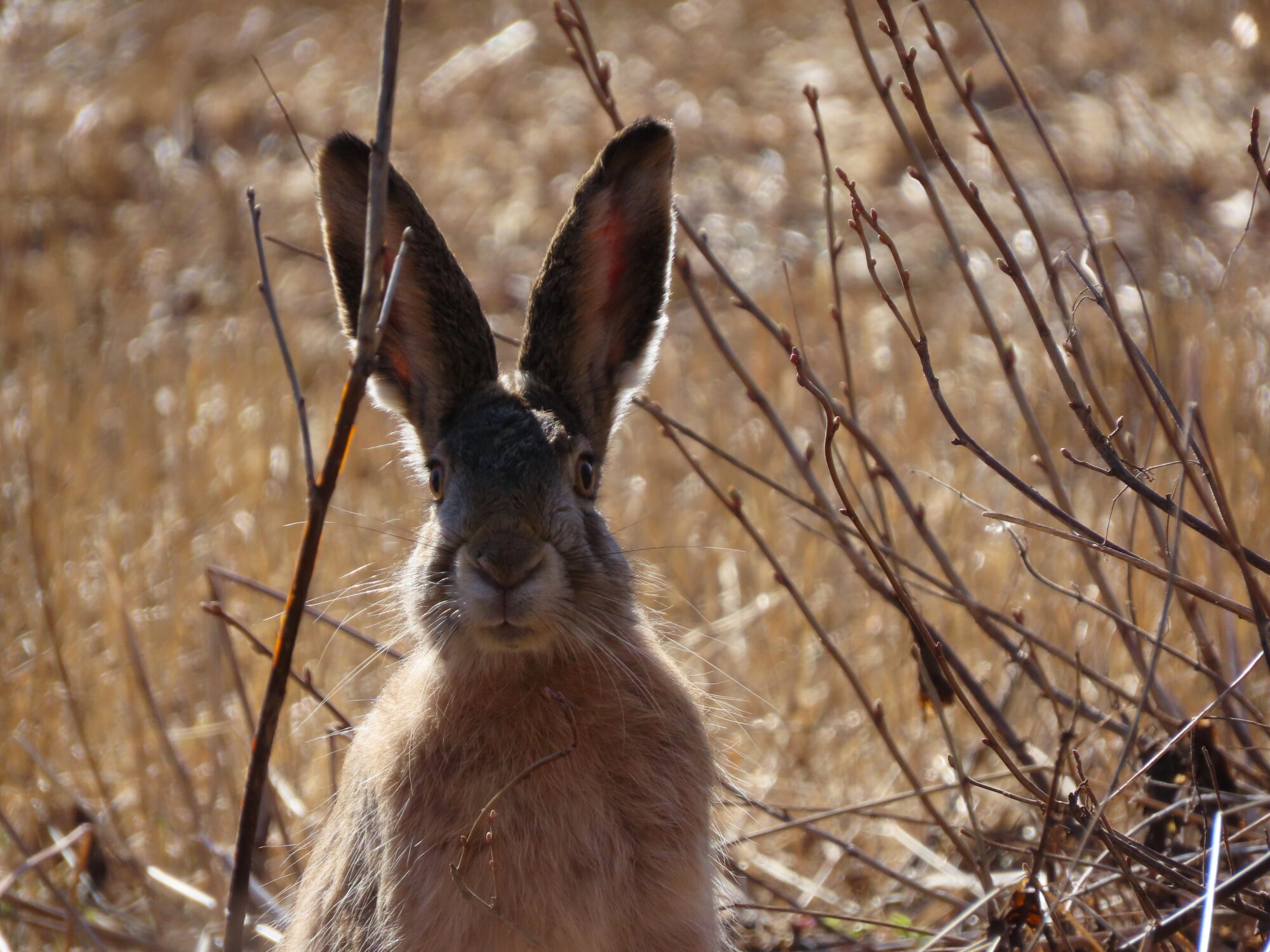Valokuvaaja: Netta Halmu
