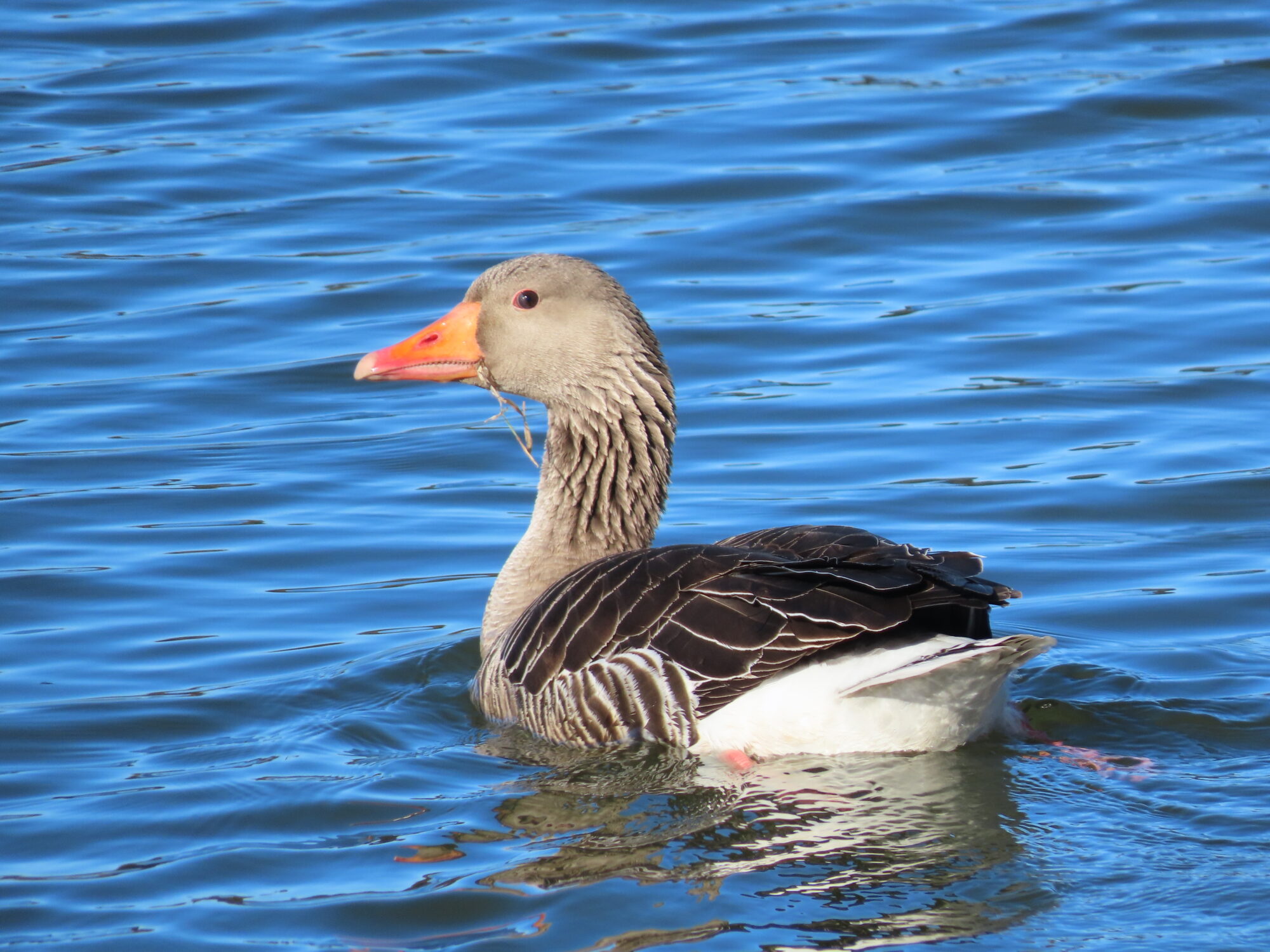 Valokuvaaja: Netta Halmu