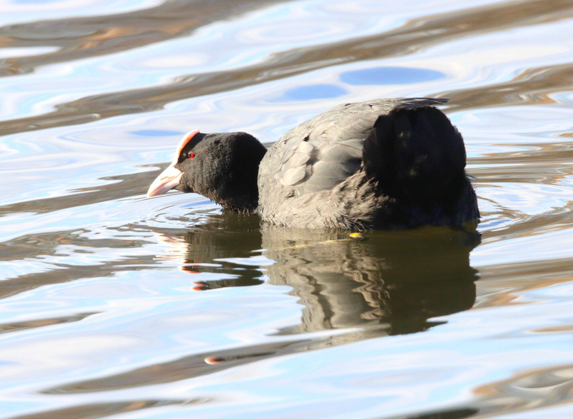 Valokuvaaja: Irja Lehtinen
