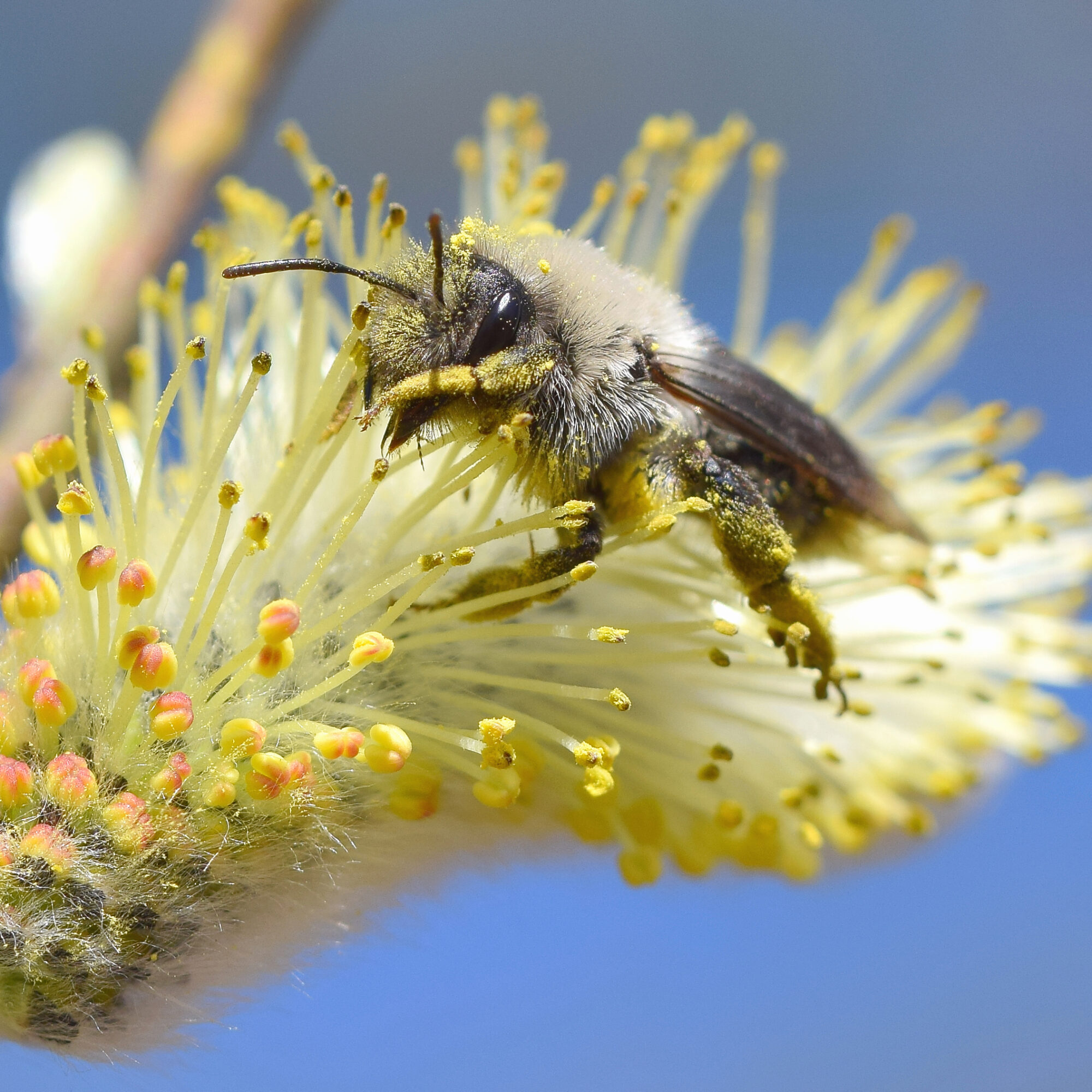 Valokuvaaja: Päivi Kiiskinen-Mustonen