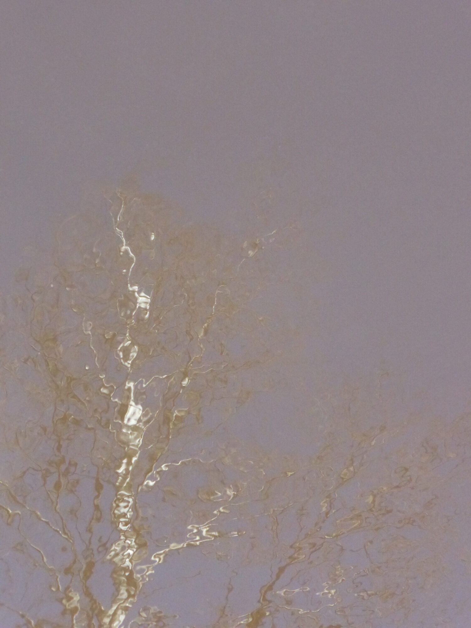 Valokuvaaja: Toni Asikainen