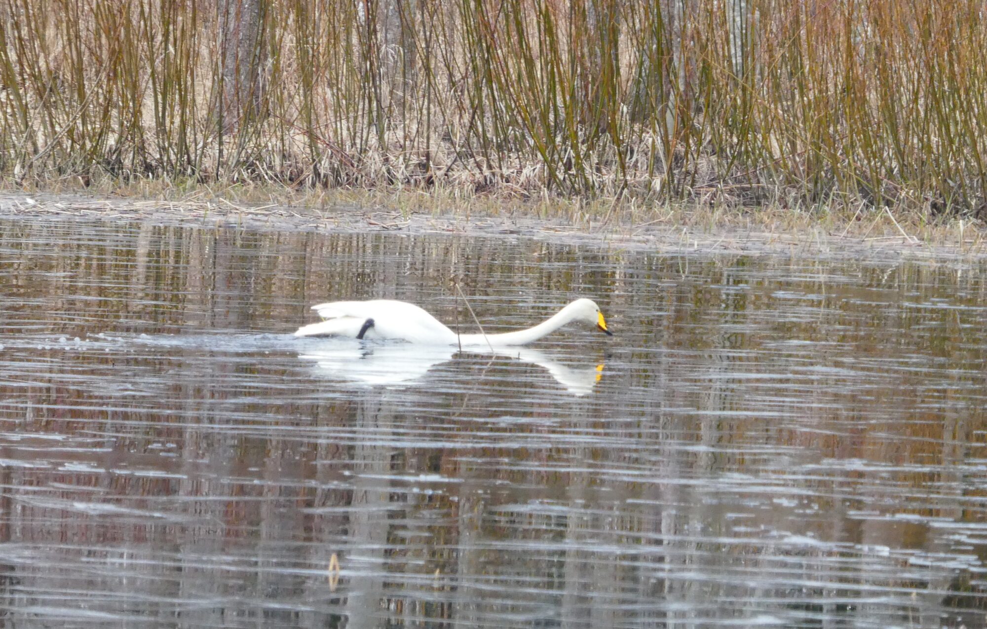 Valokuvaaja: Anja Mustamaa