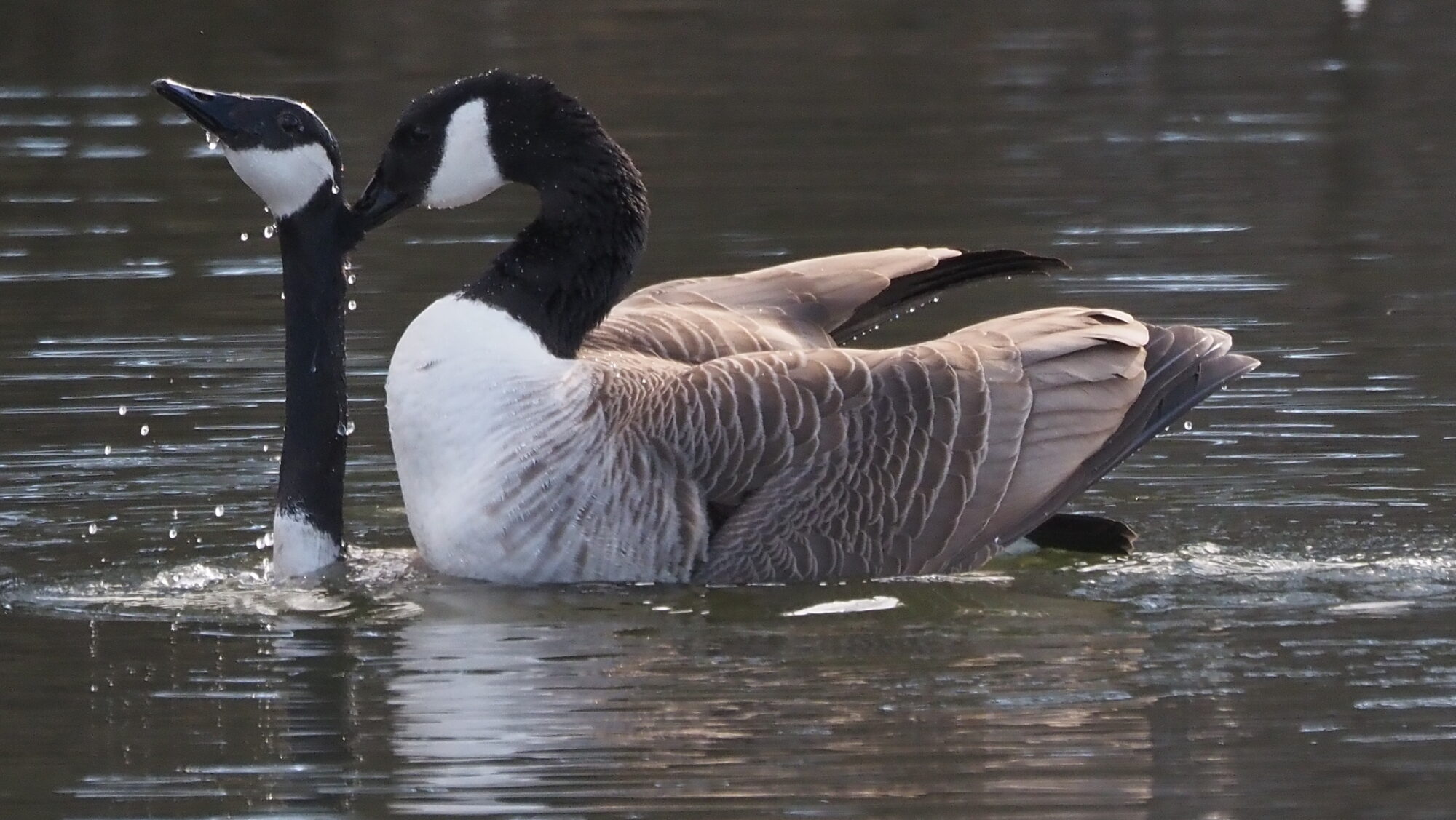 Valokuvaaja: Arja Valtonen