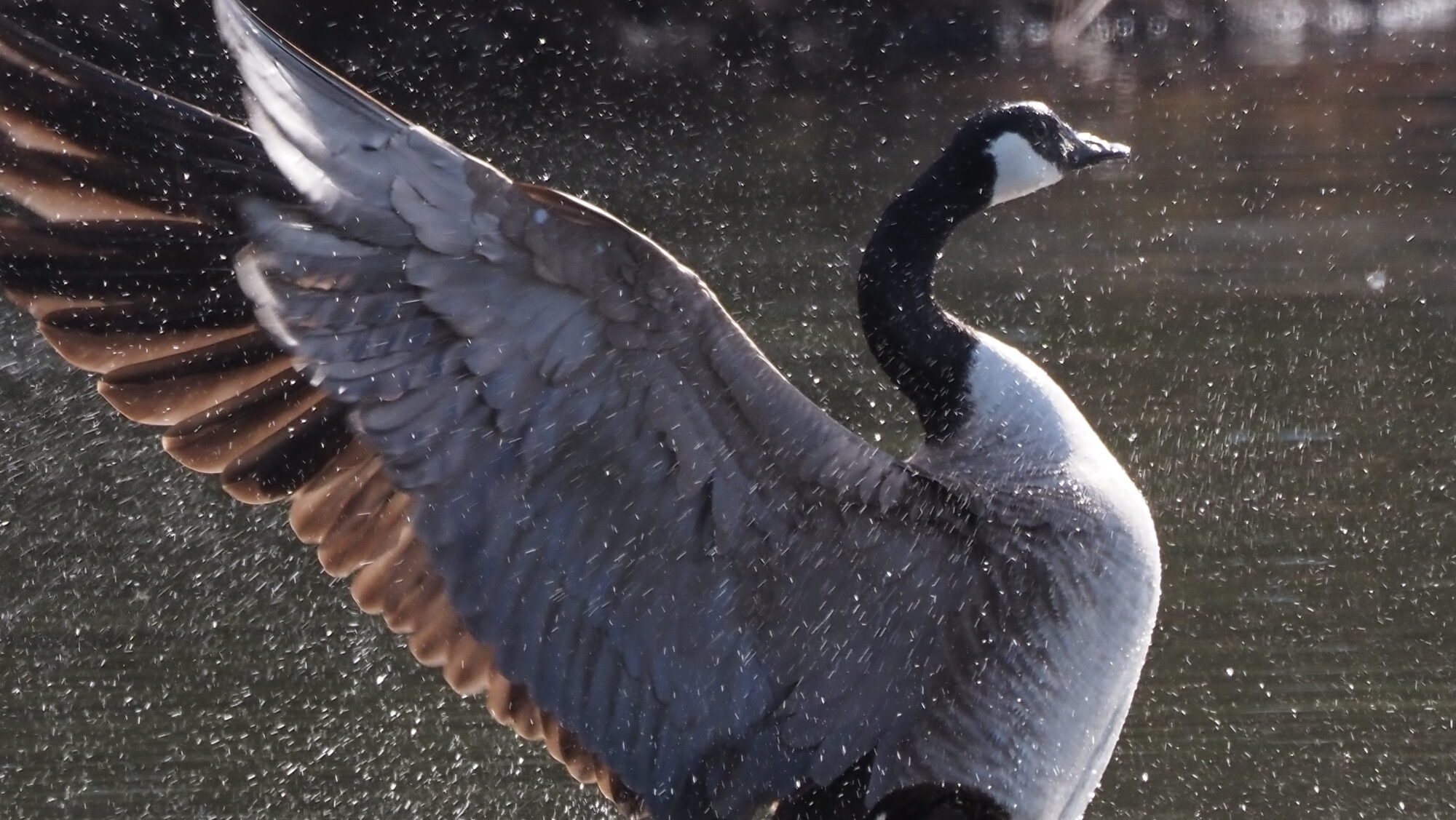 Valokuvaaja: Arja Valtonen