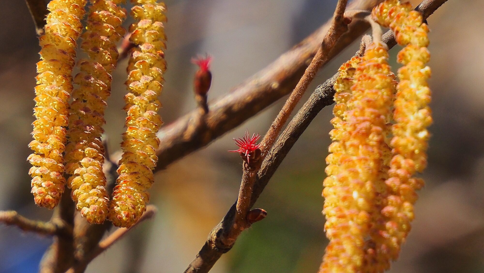 Valokuvaaja: Arja Valtonen