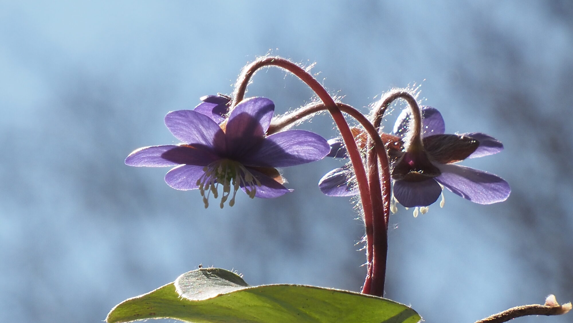 Valokuvaaja: Arja Valtonen