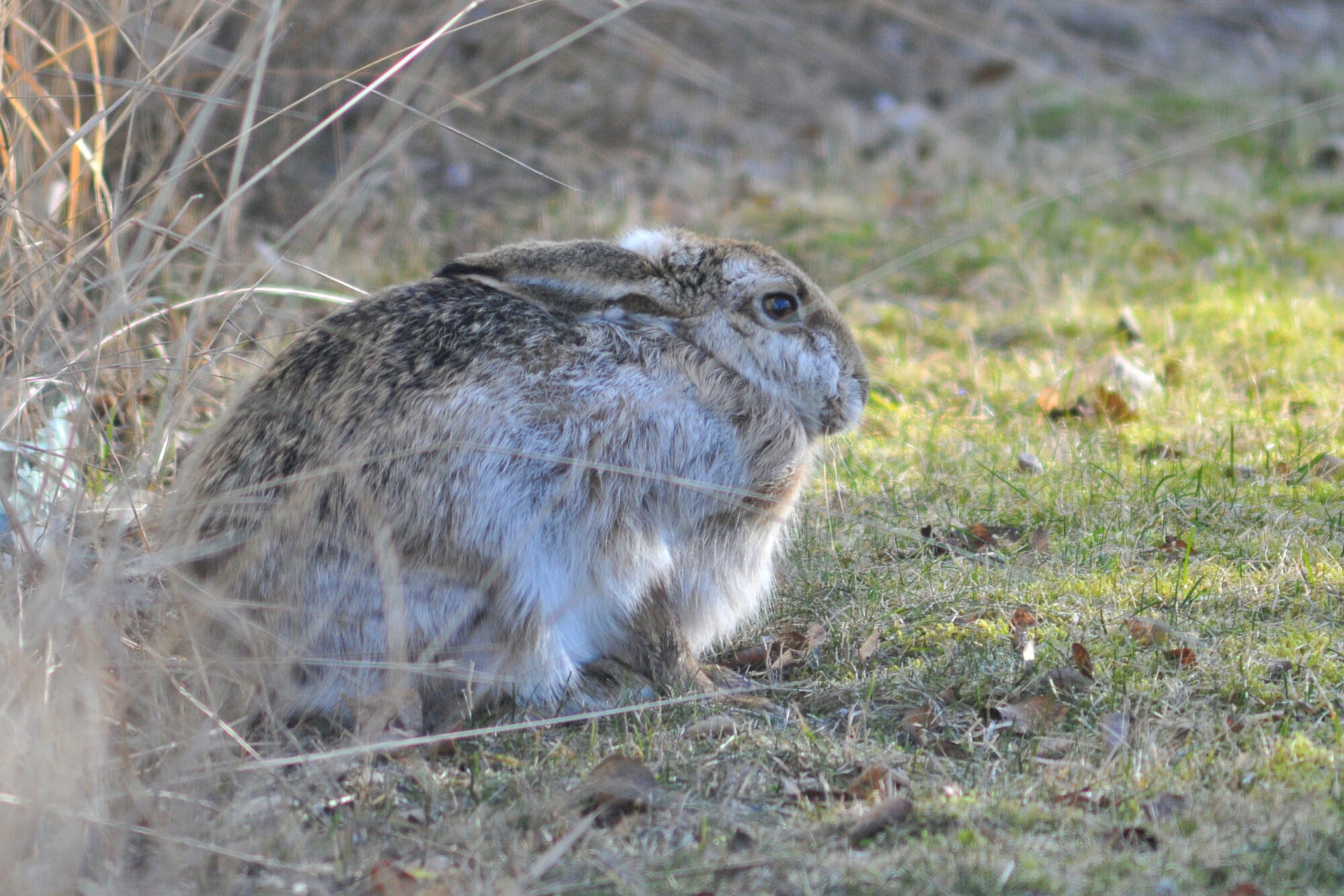 Valokuvaaja: Kaarlo Asikainen