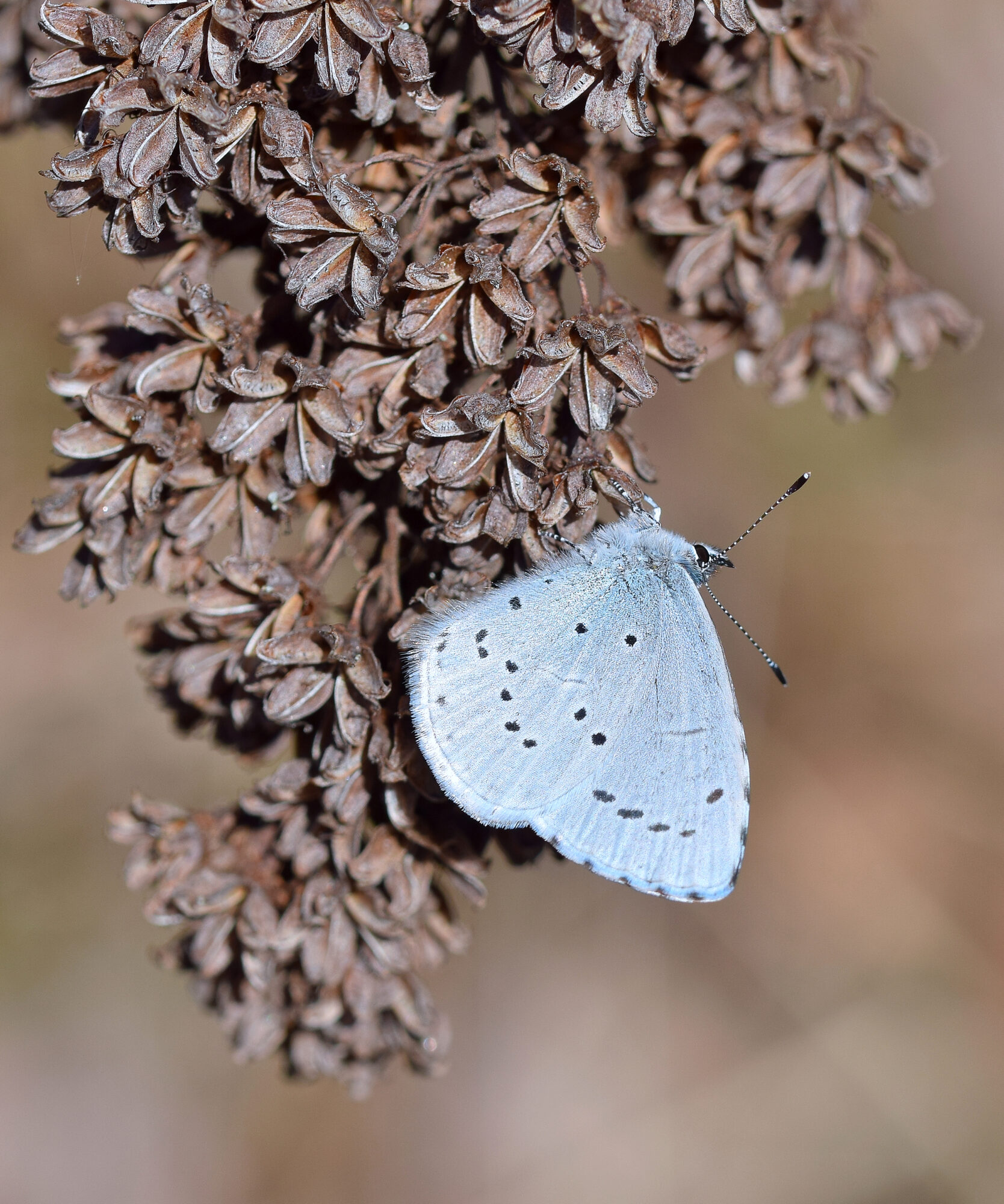 Valokuvaaja: Päivi Kiiskinen-Mustonen