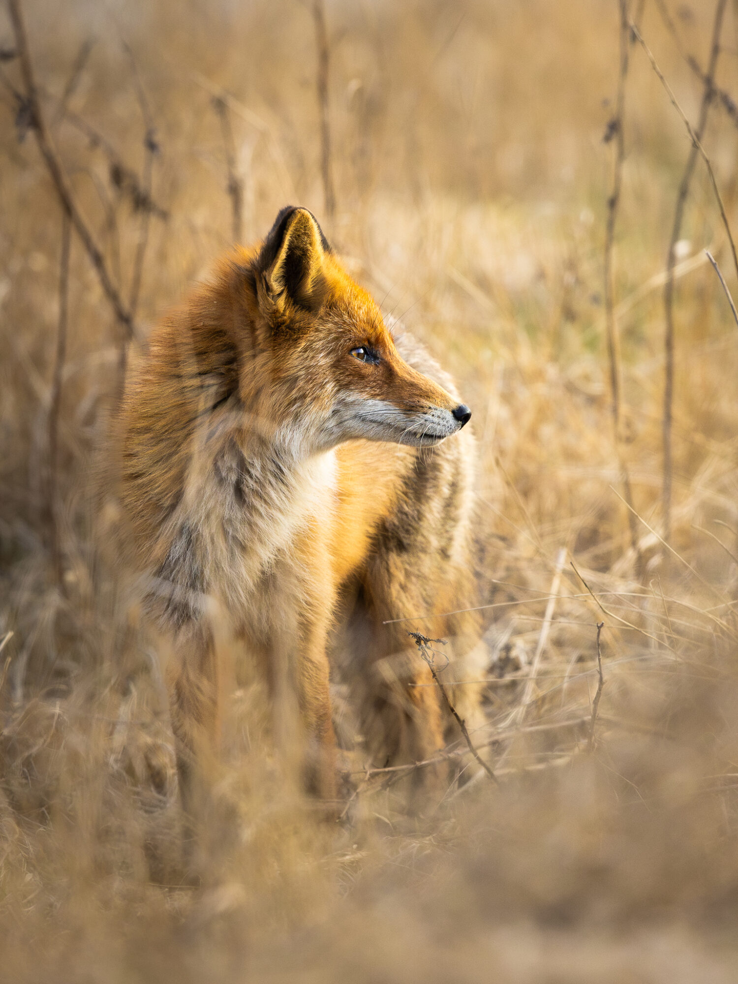 Valokuvaaja: Tuomas Järvinen