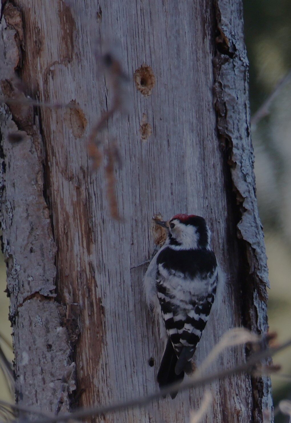 Valokuvaaja: Kaarina Heiskanen