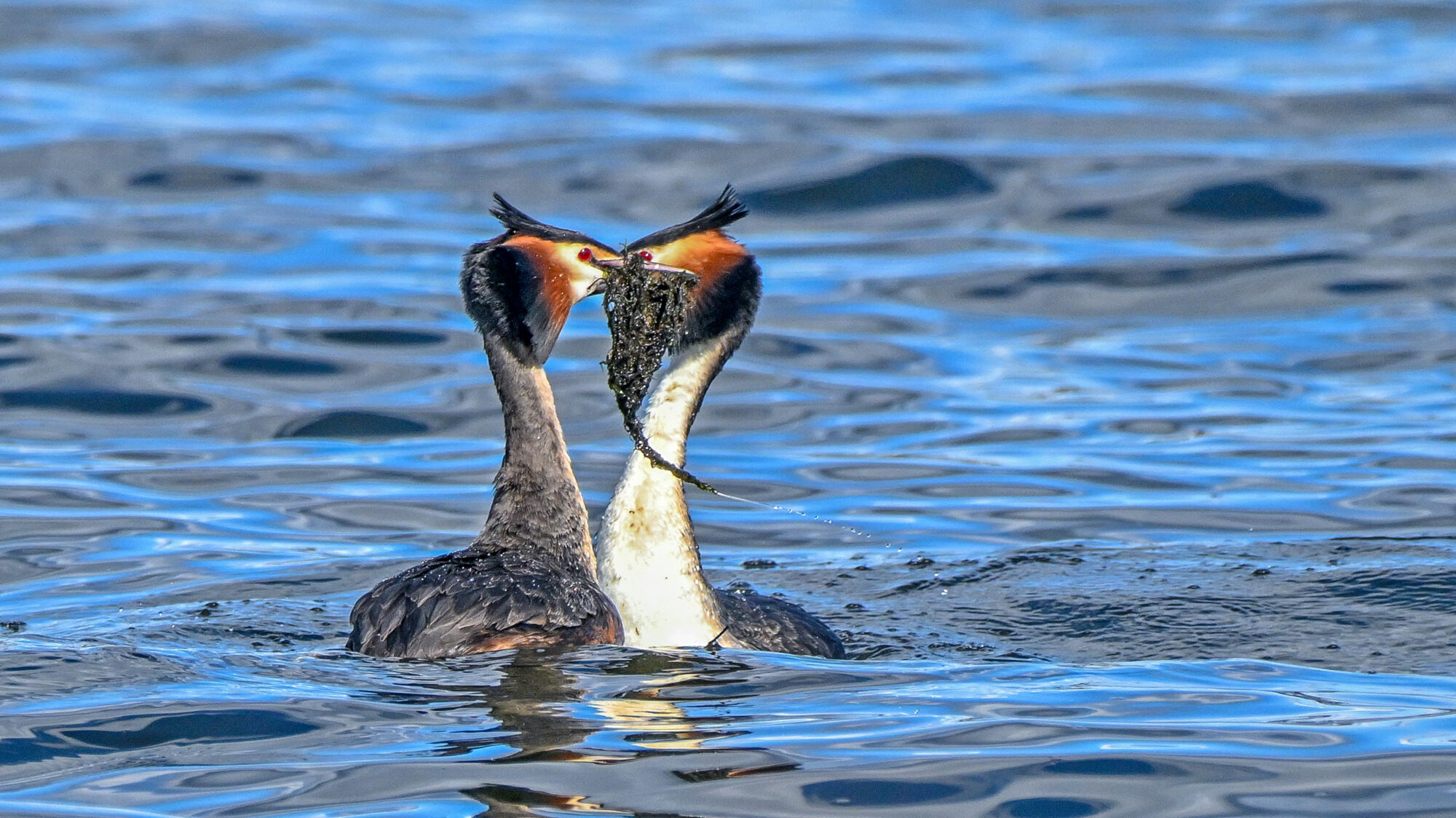 Valokuvaaja: Esko Pihl