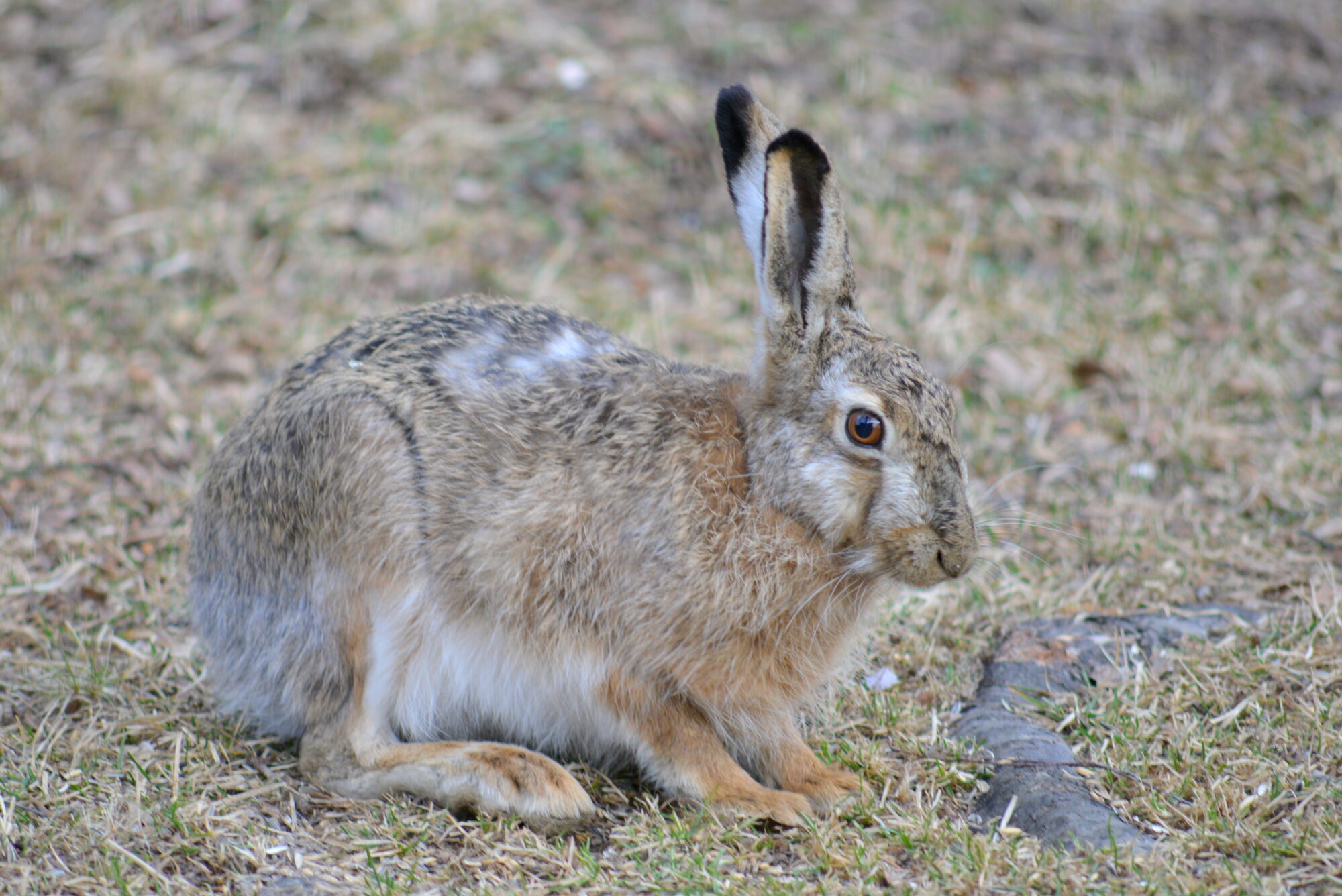 Valokuvaaja: Kaarlo Asikainen