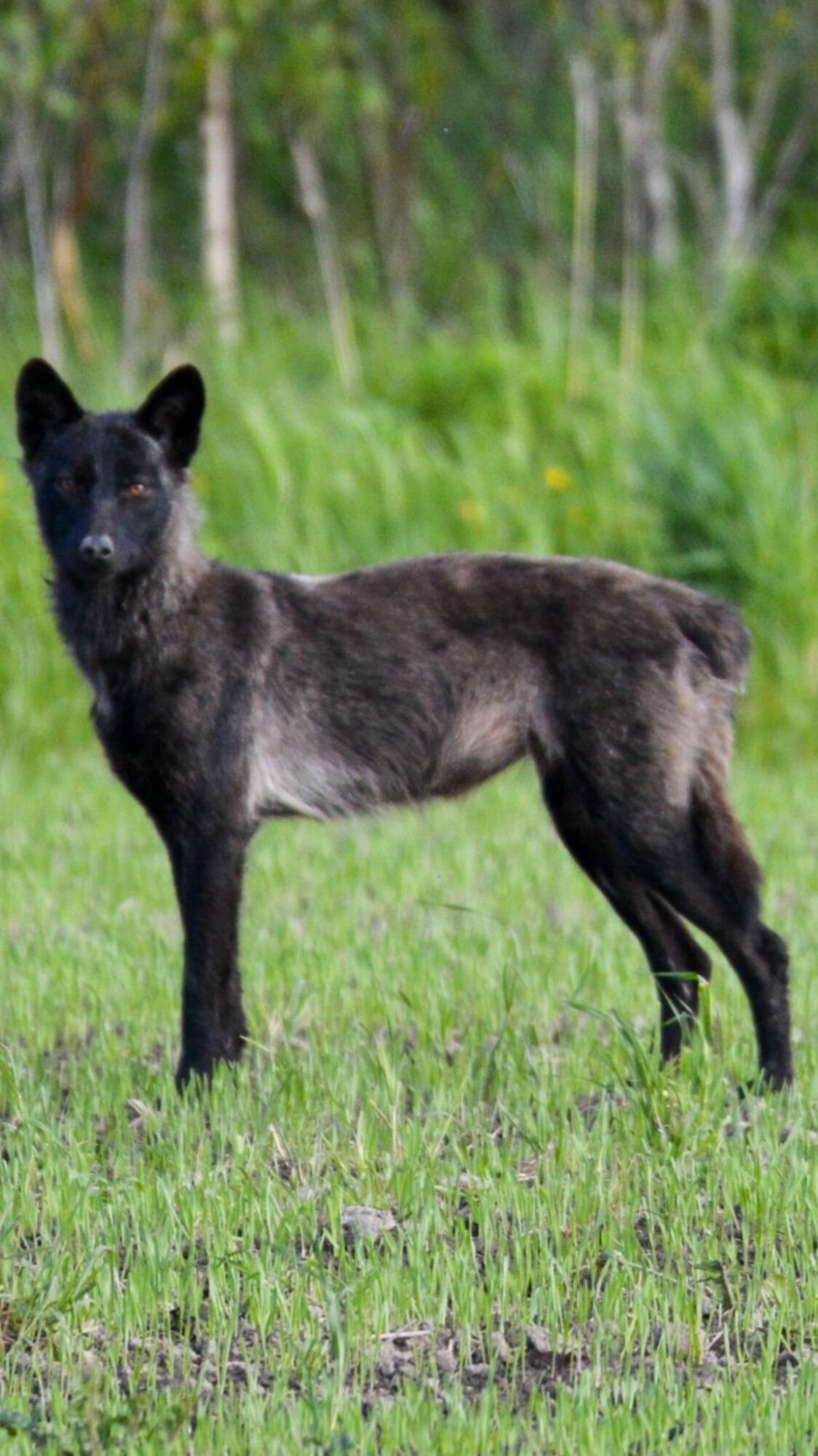 Valokuvaaja: Harri Vuorela