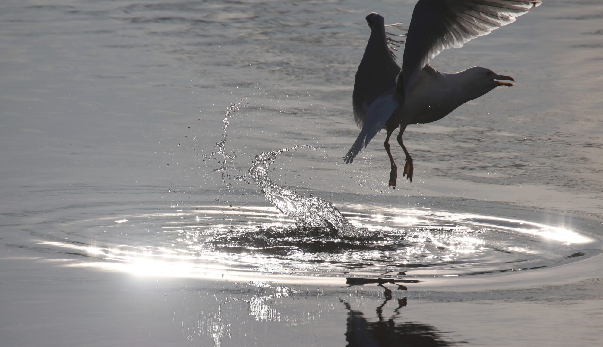 Valokuvaaja: Jaana Saarelainen