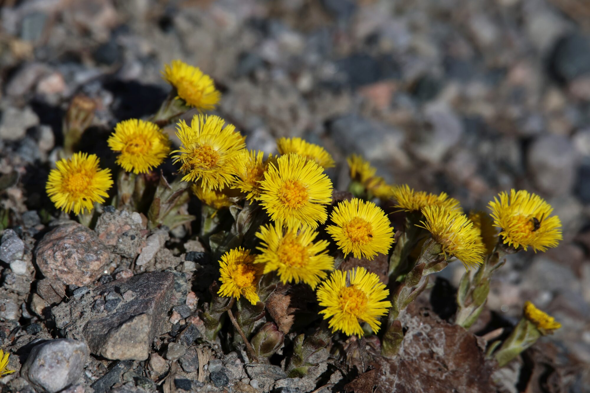 Valokuvaaja: Jaana Saarelainen