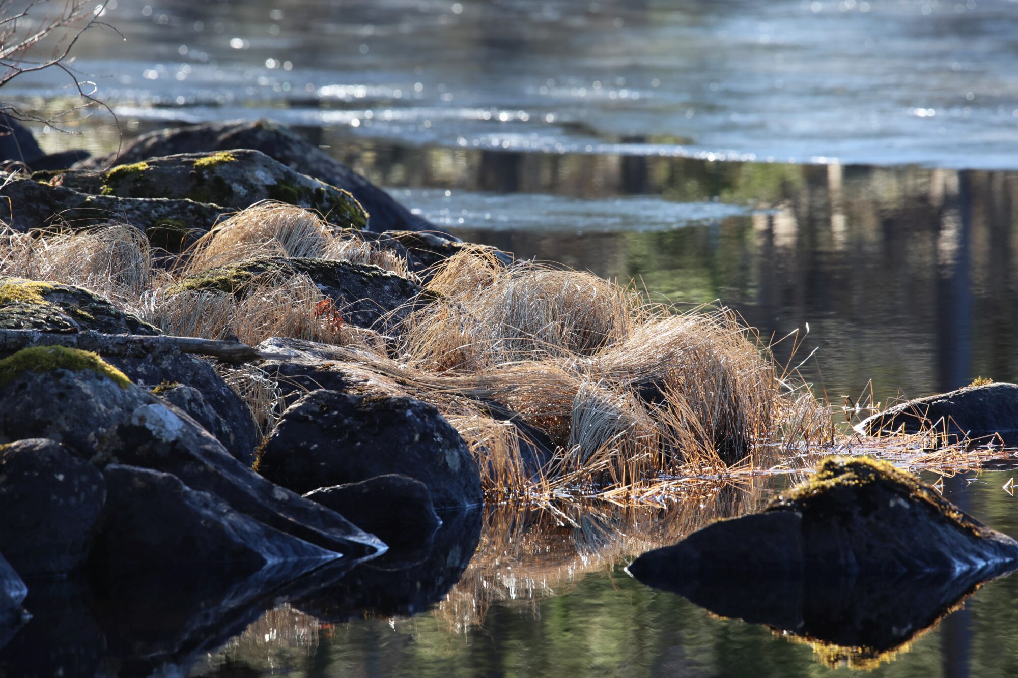 Valokuvaaja: Jaana Saarelainen