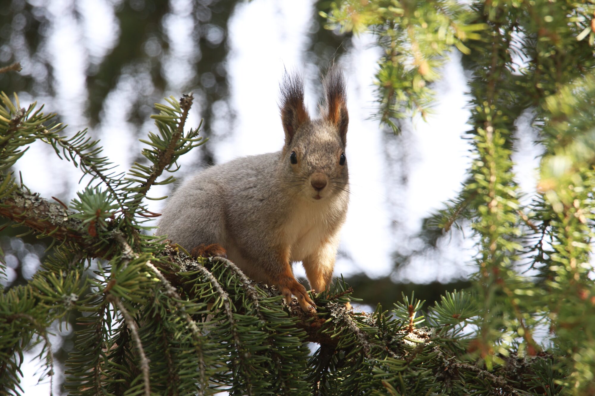 Valokuvaaja: Jaana Saarelainen