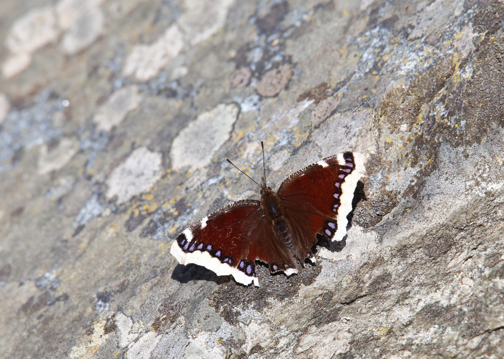 Valokuvaaja: Jaana Saarelainen