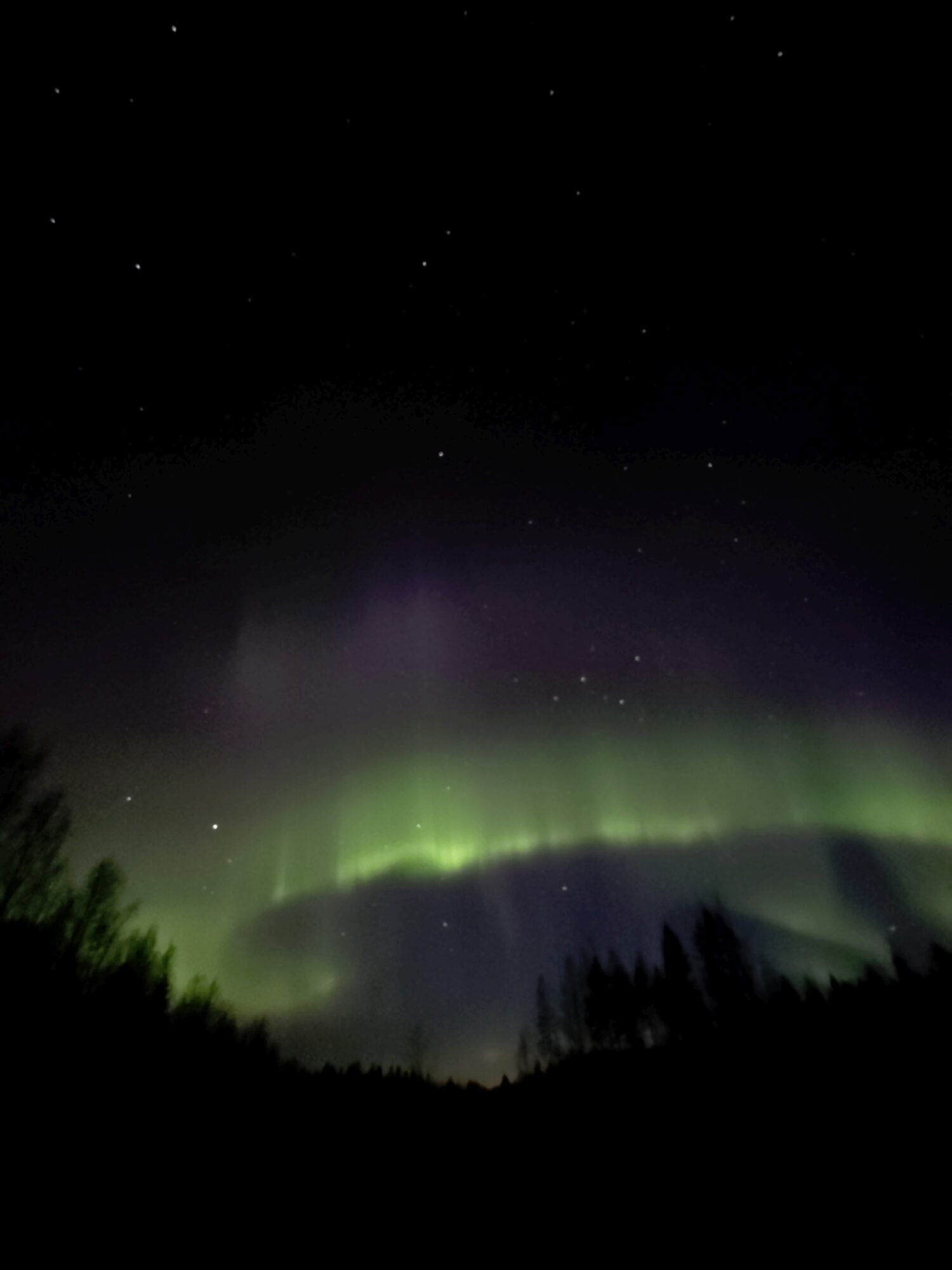 Valokuvaaja: Jaana Saarelainen