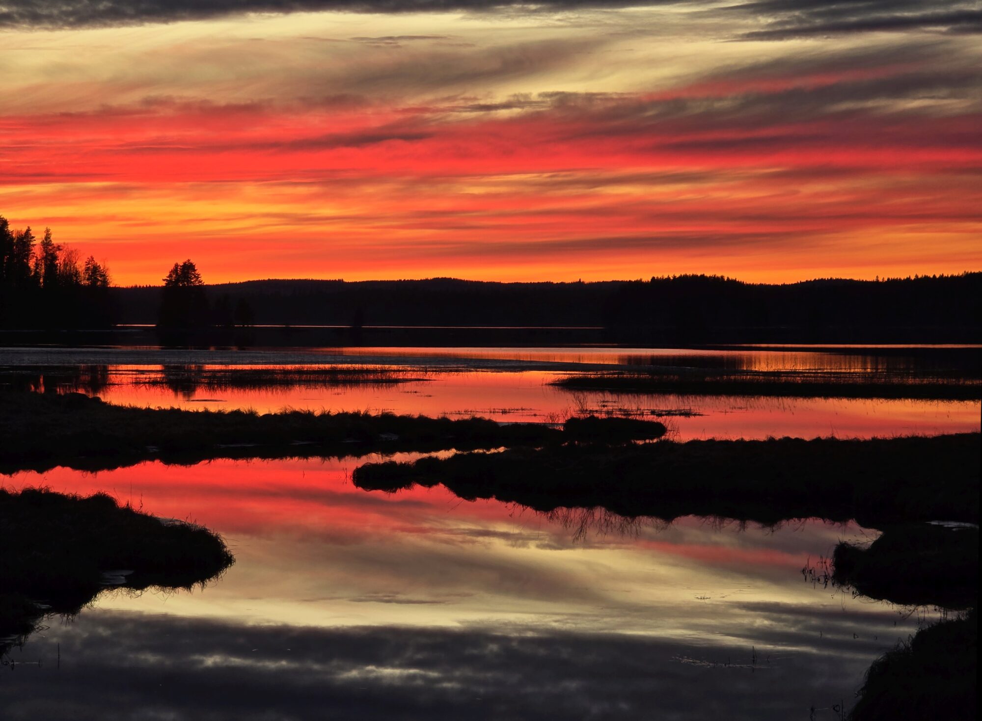 Valokuvaaja: Jaana Saarelainen