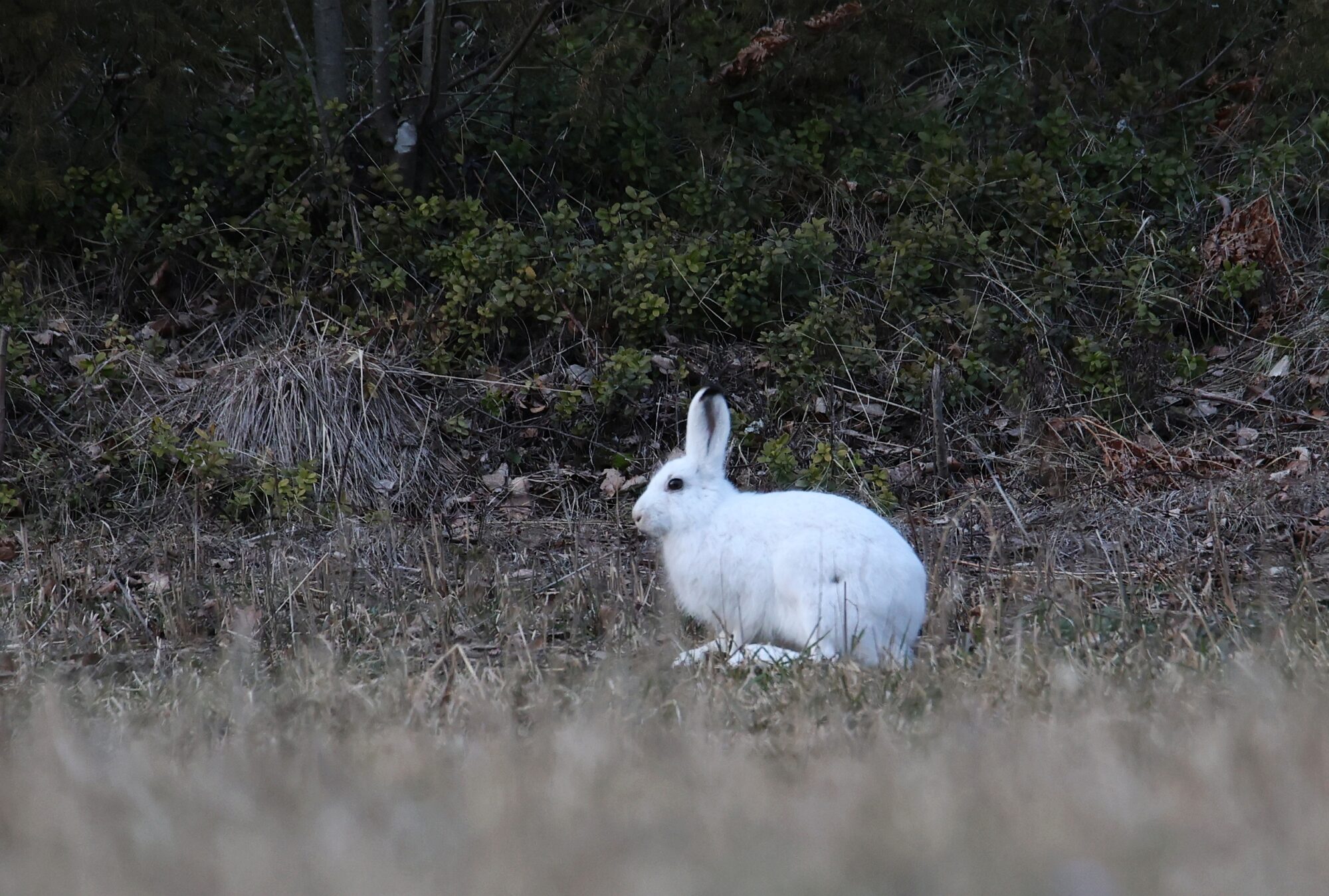 Valokuvaaja: Jaana Saarelainen