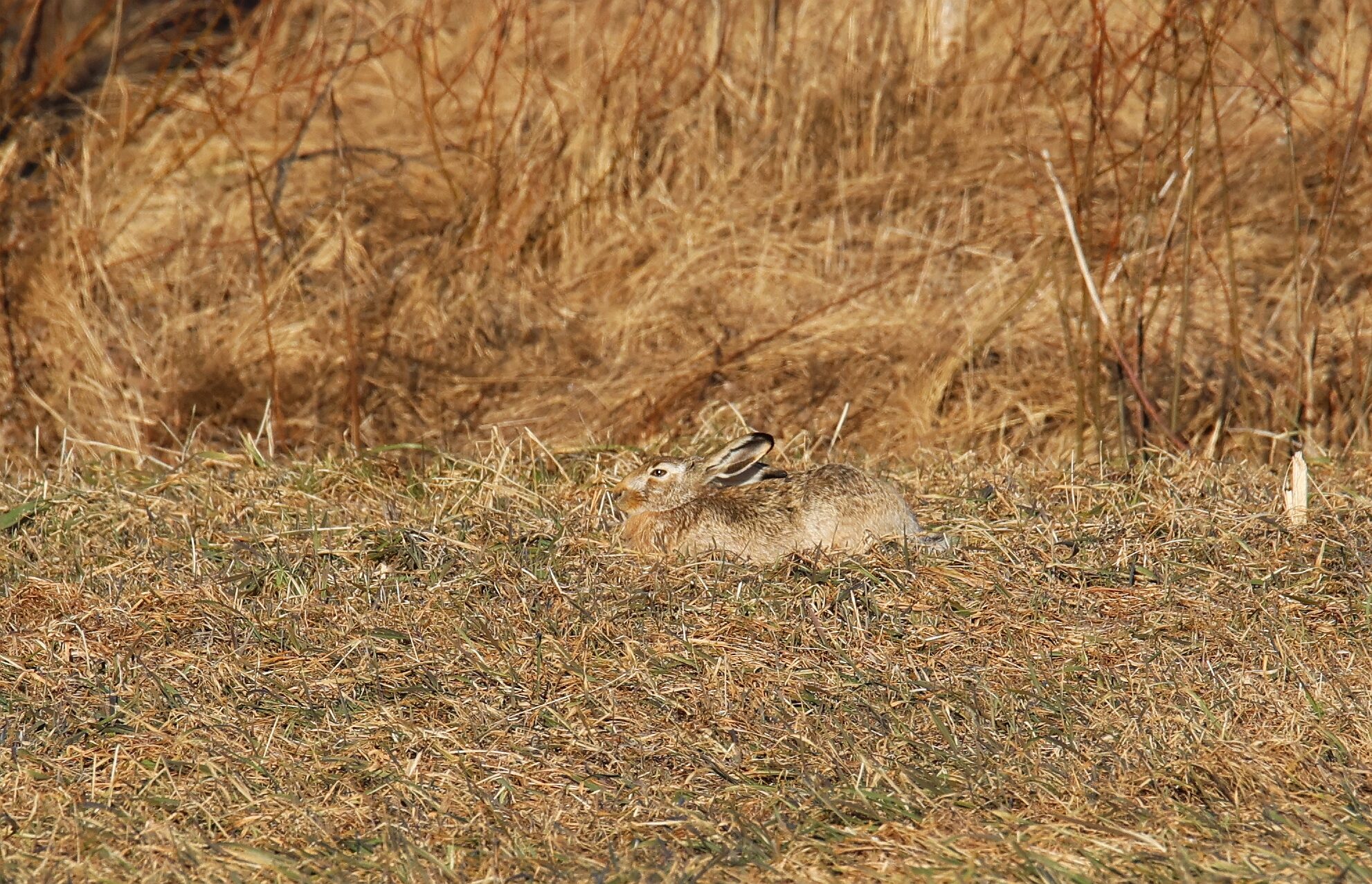 Valokuvaaja: Jaana Saarelainen