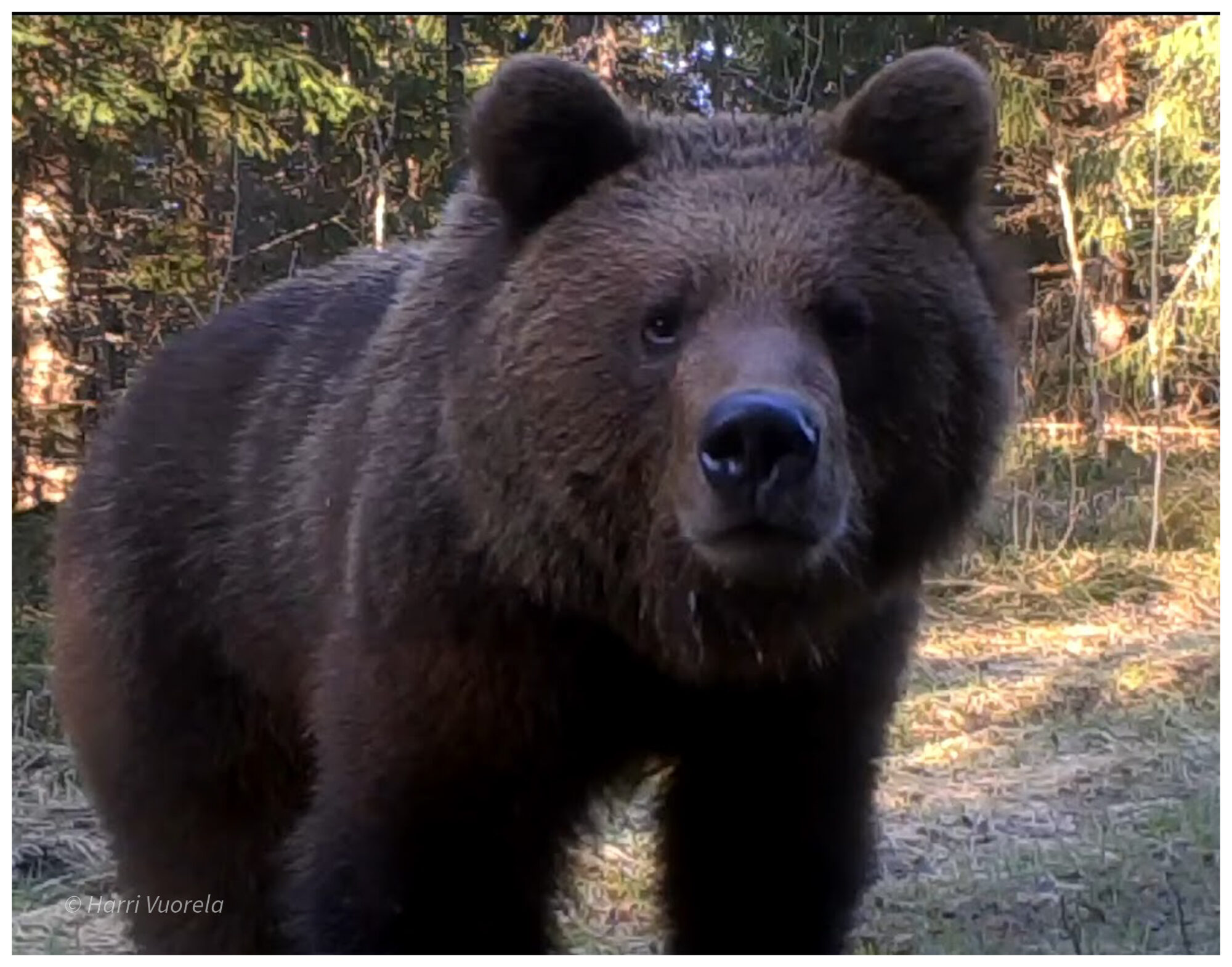 Valokuvaaja: Harri Vuorela