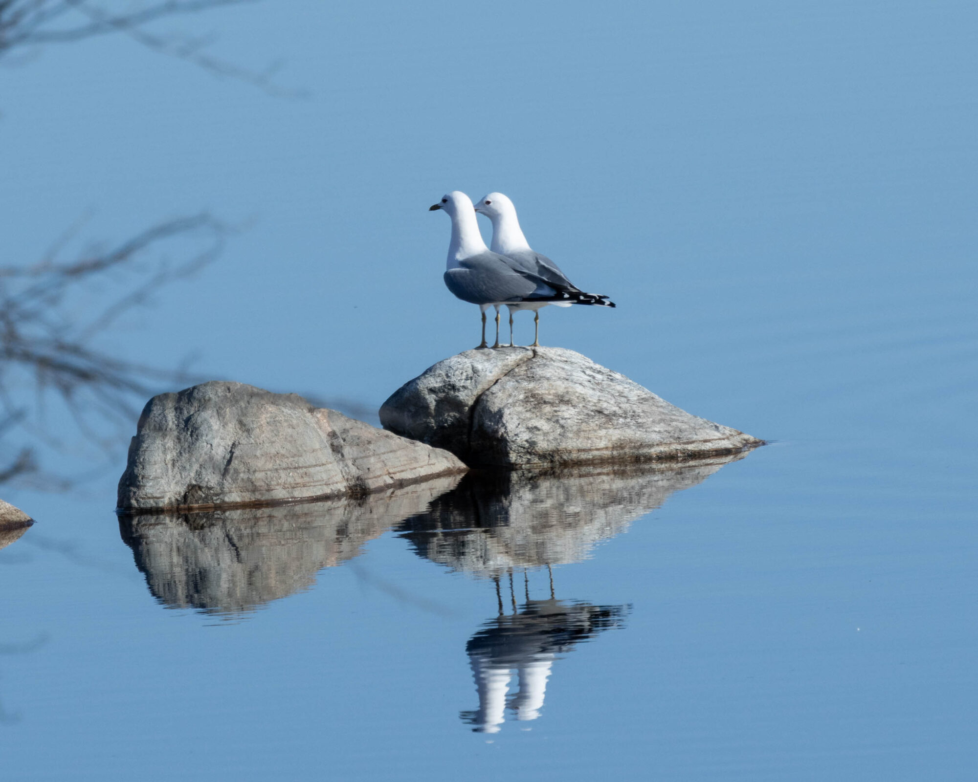 Valokuvaaja: Hannu Tikkanen