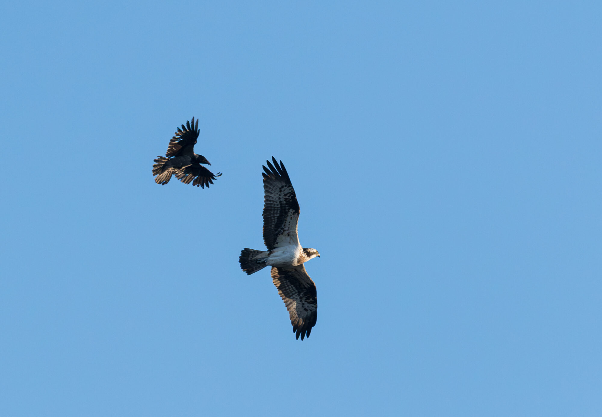 Valokuvaaja: Tuomo Salminen